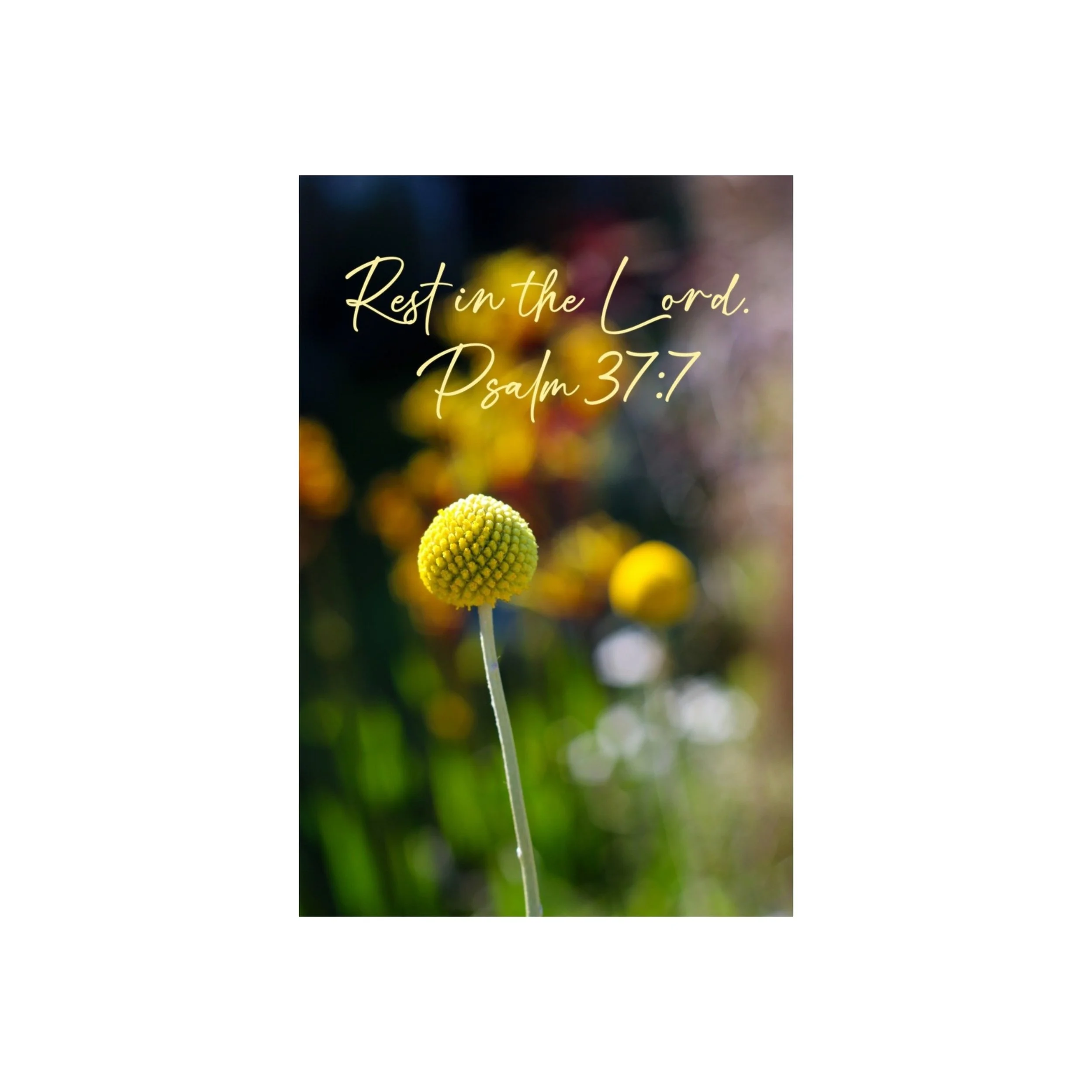Psalm 37:7 Rest In The Lord Matted Print