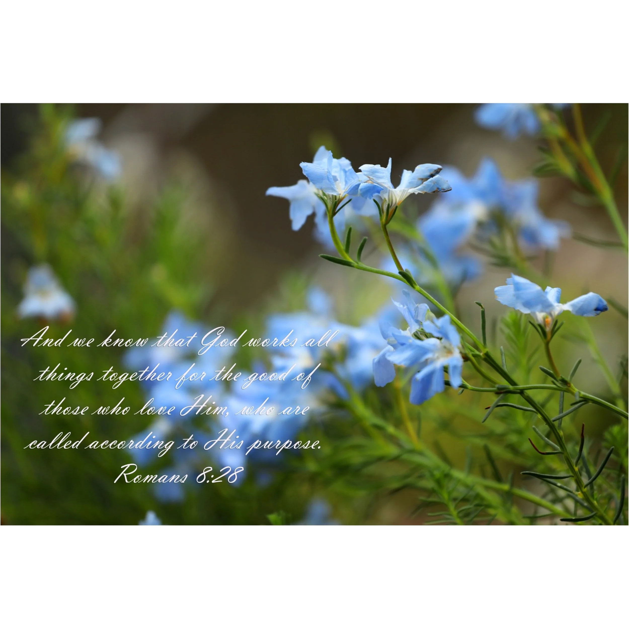 Romans 8:28 God Works All Things Matted Print