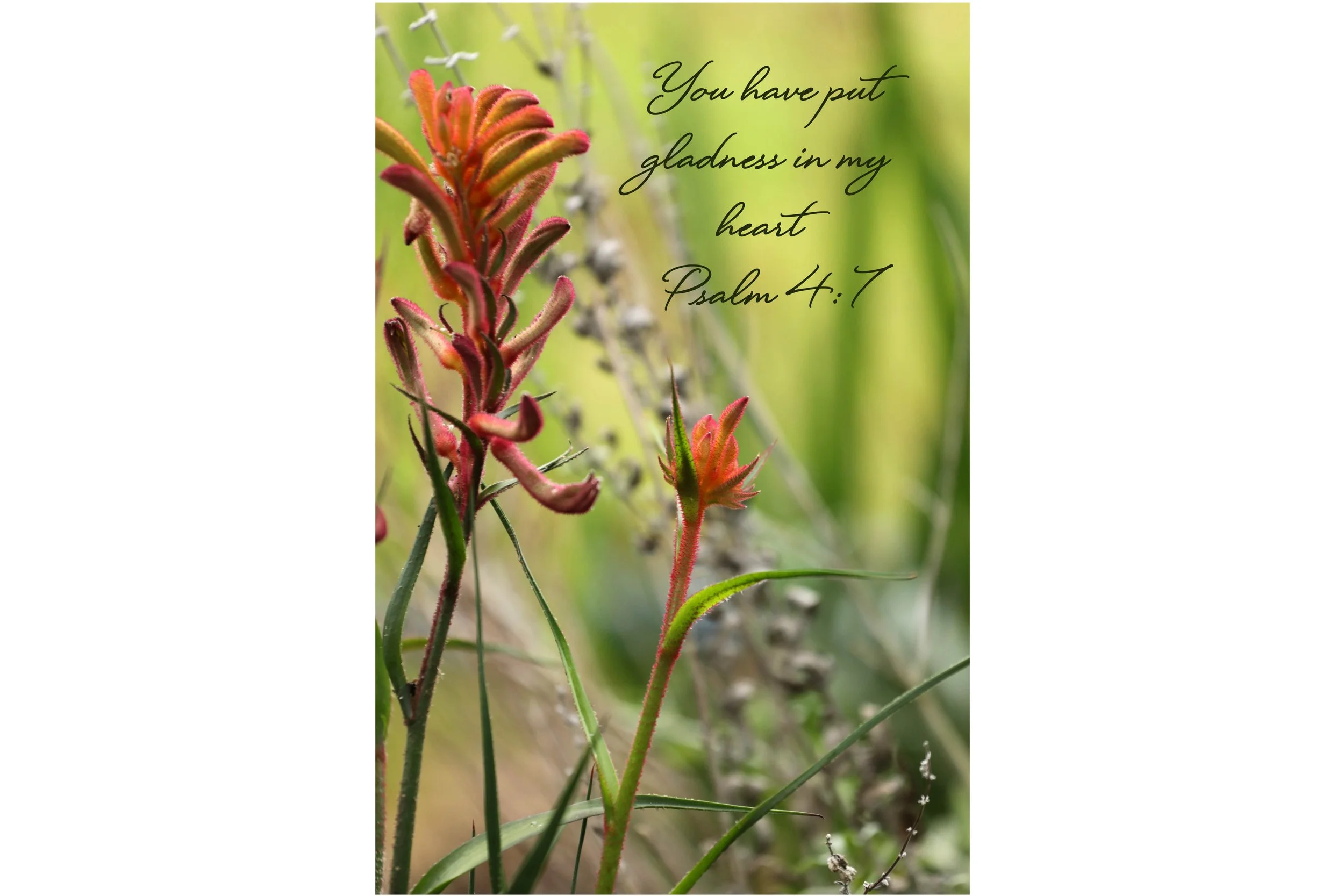 Psalm 4:7 Gladness In My Heart Print