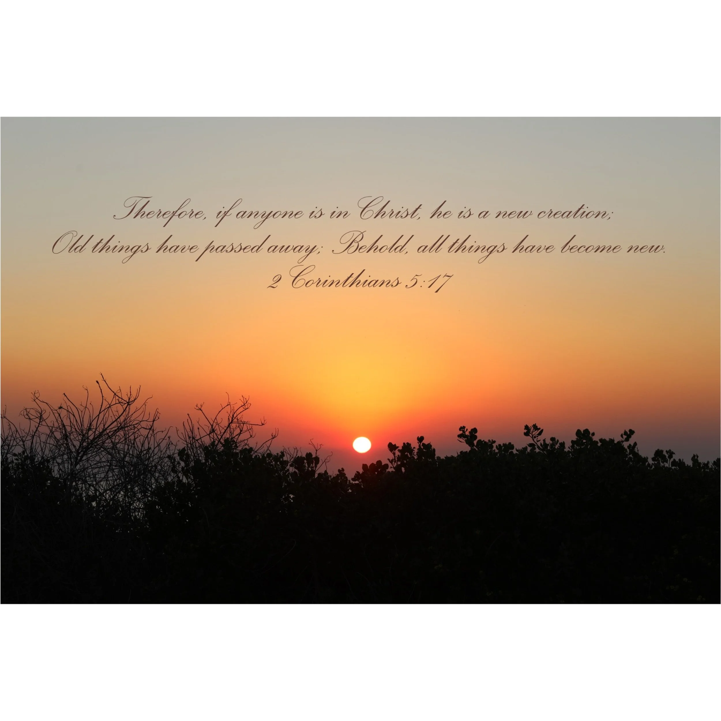 2 Corinthians 5:17 Become New Matted Print