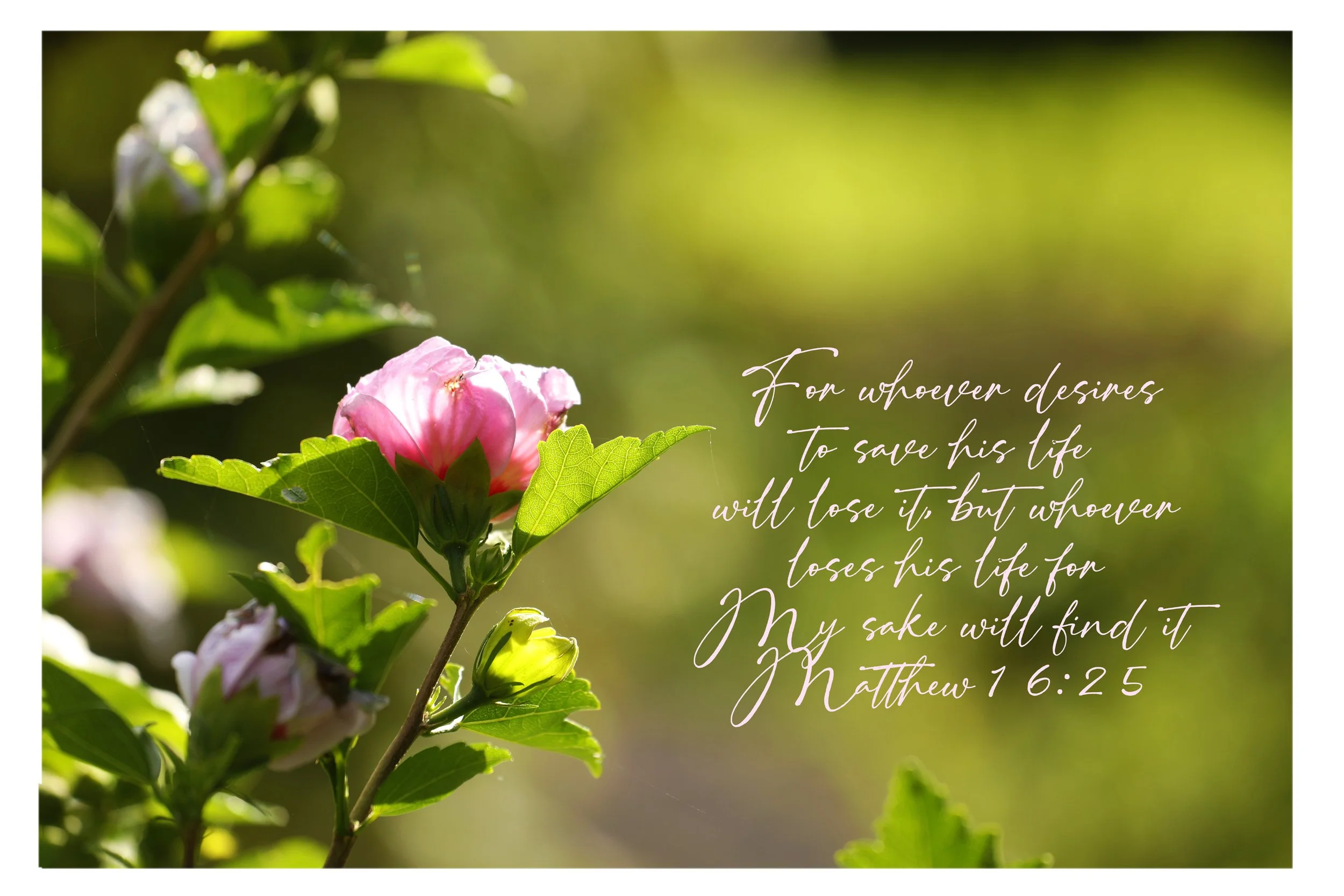 Matthew 16:25 Desire For Life Matted Print