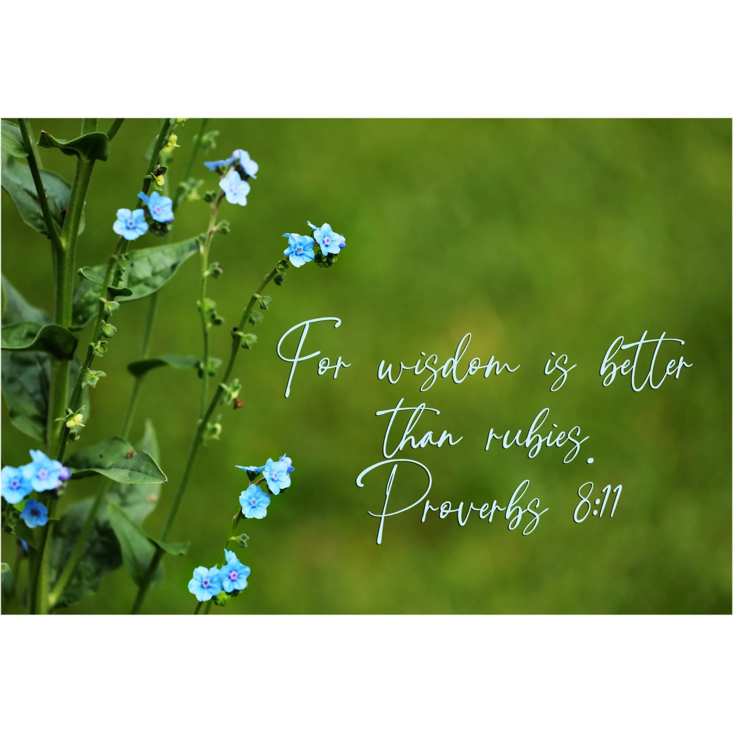 Proverbs 8:11 Wisdom Better Than Rubies Matted Print