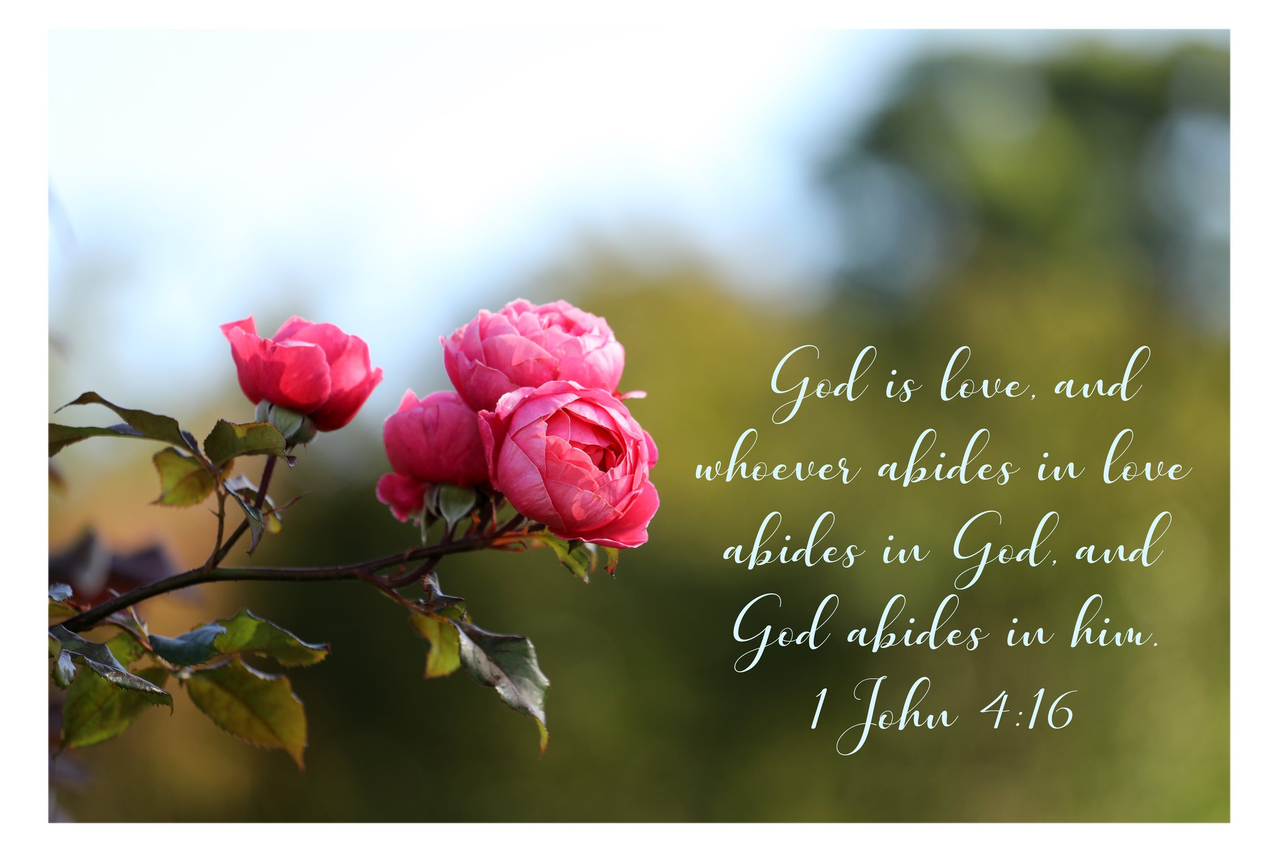 1 John 4:16 Love Abides In God Print