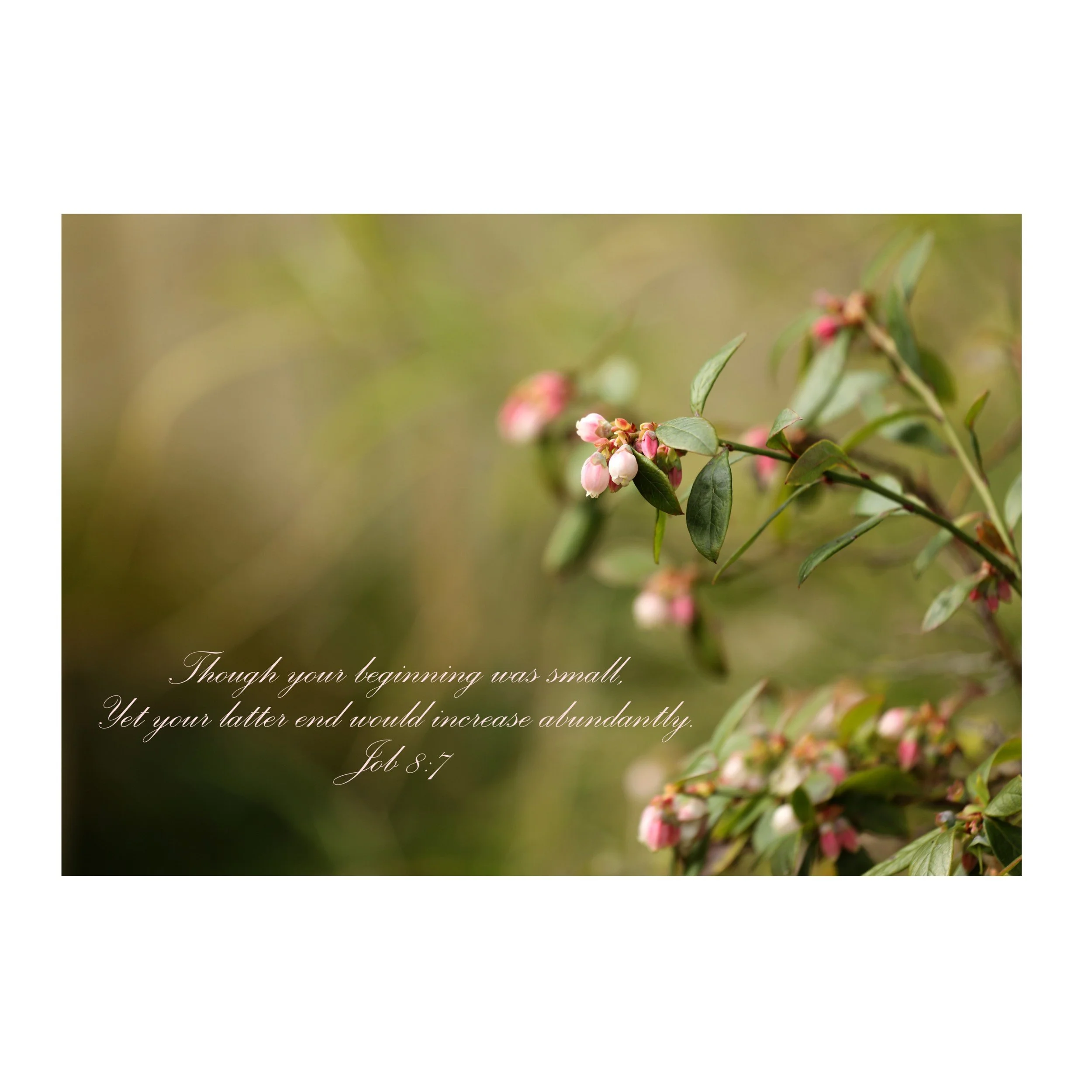 Job 8:7 Increase Abundantly Matted Print