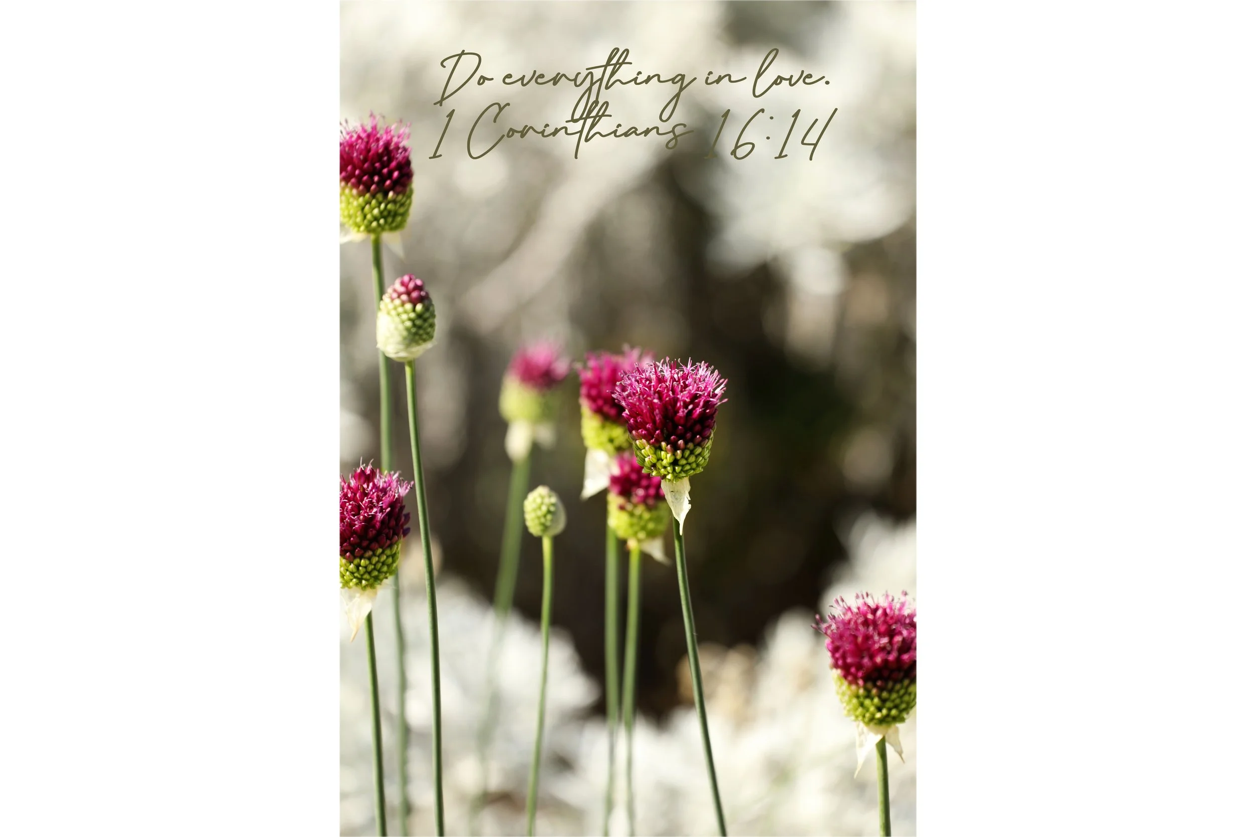 1 Corinthians 16:14 Do Everything In Love Framed Print