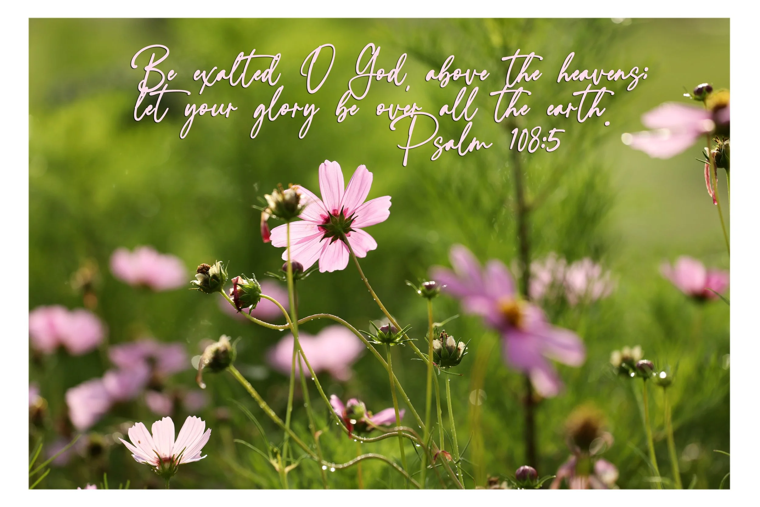 Psalm 108:5 Let Your Glory Be Over All The Earth Framed Print