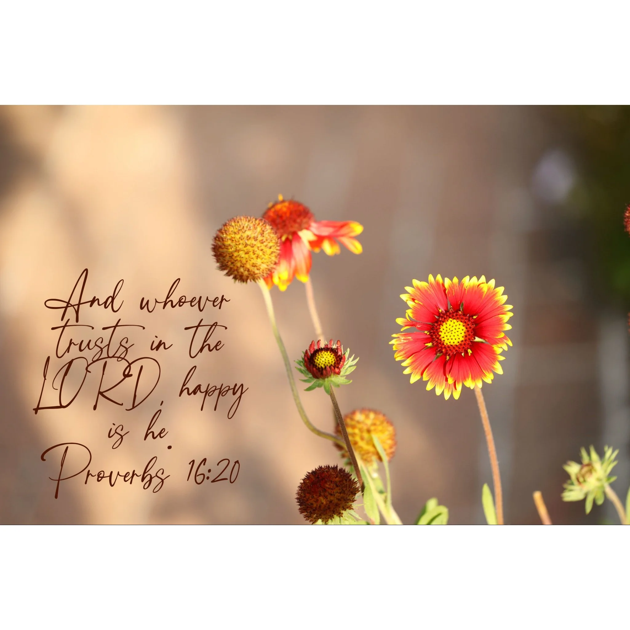 Proverbs 16:20 Happy Is He Matted Print