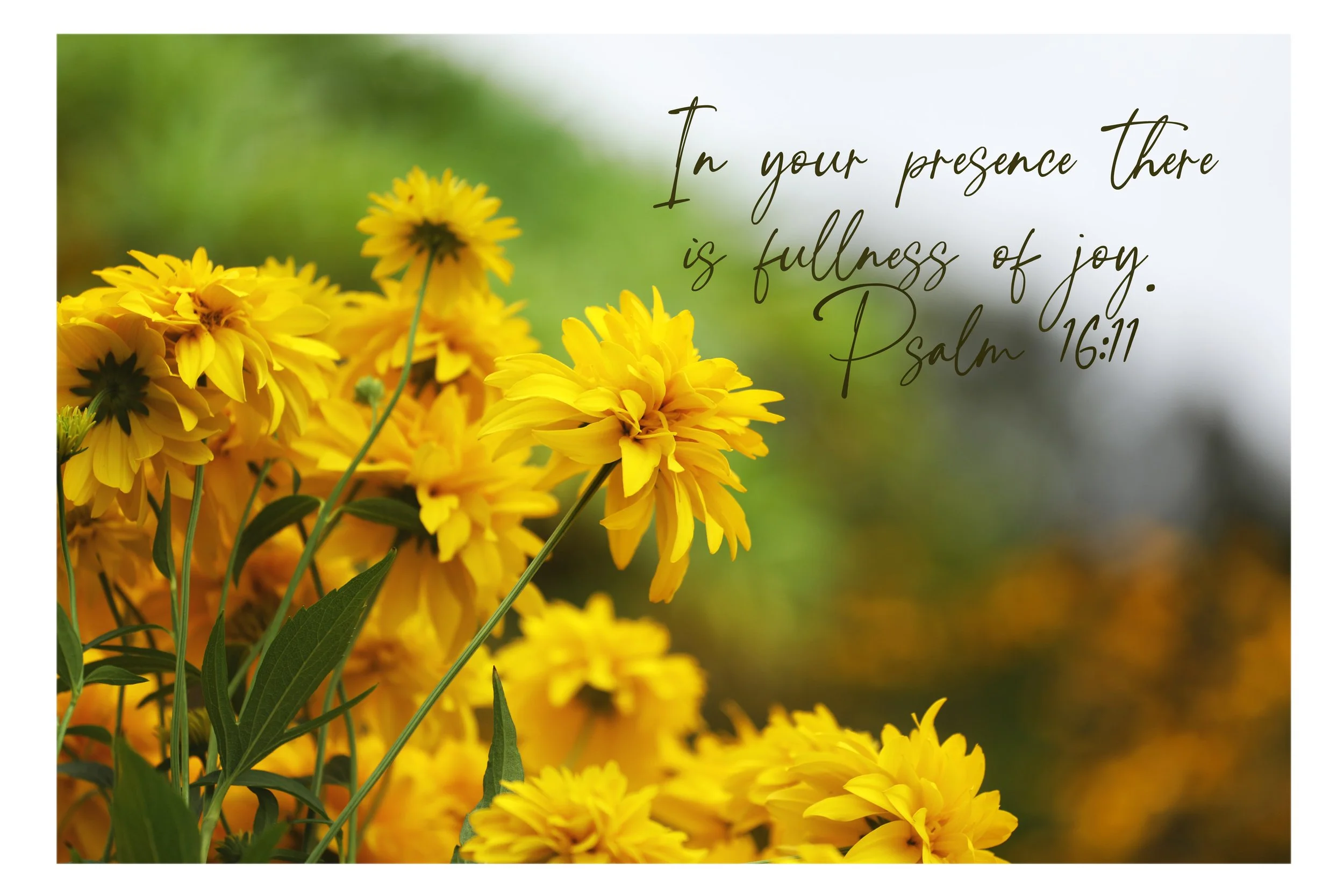 Psalm 16:11 In Your Presence Print