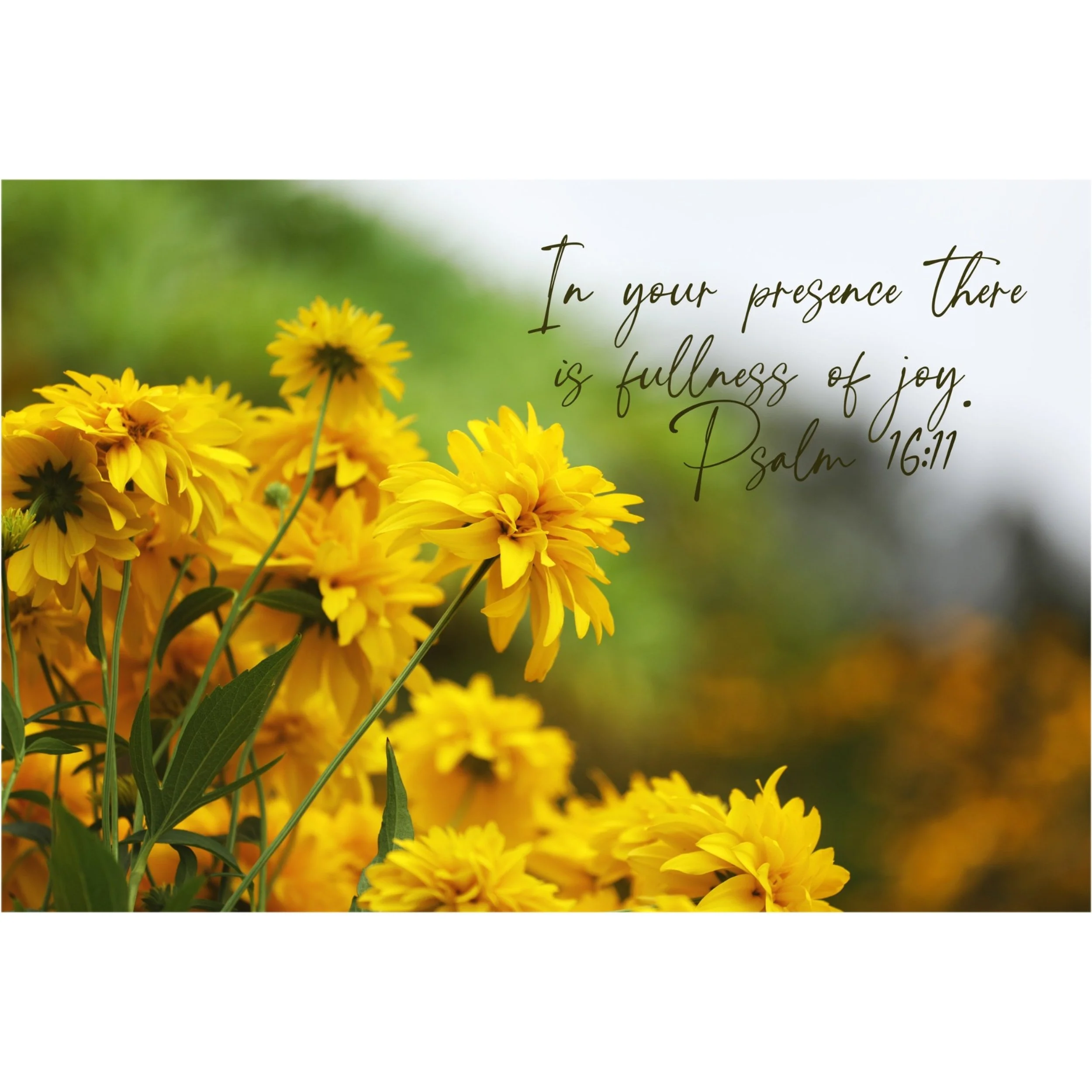 Psalm 16:11 In Your Presence Matted Print