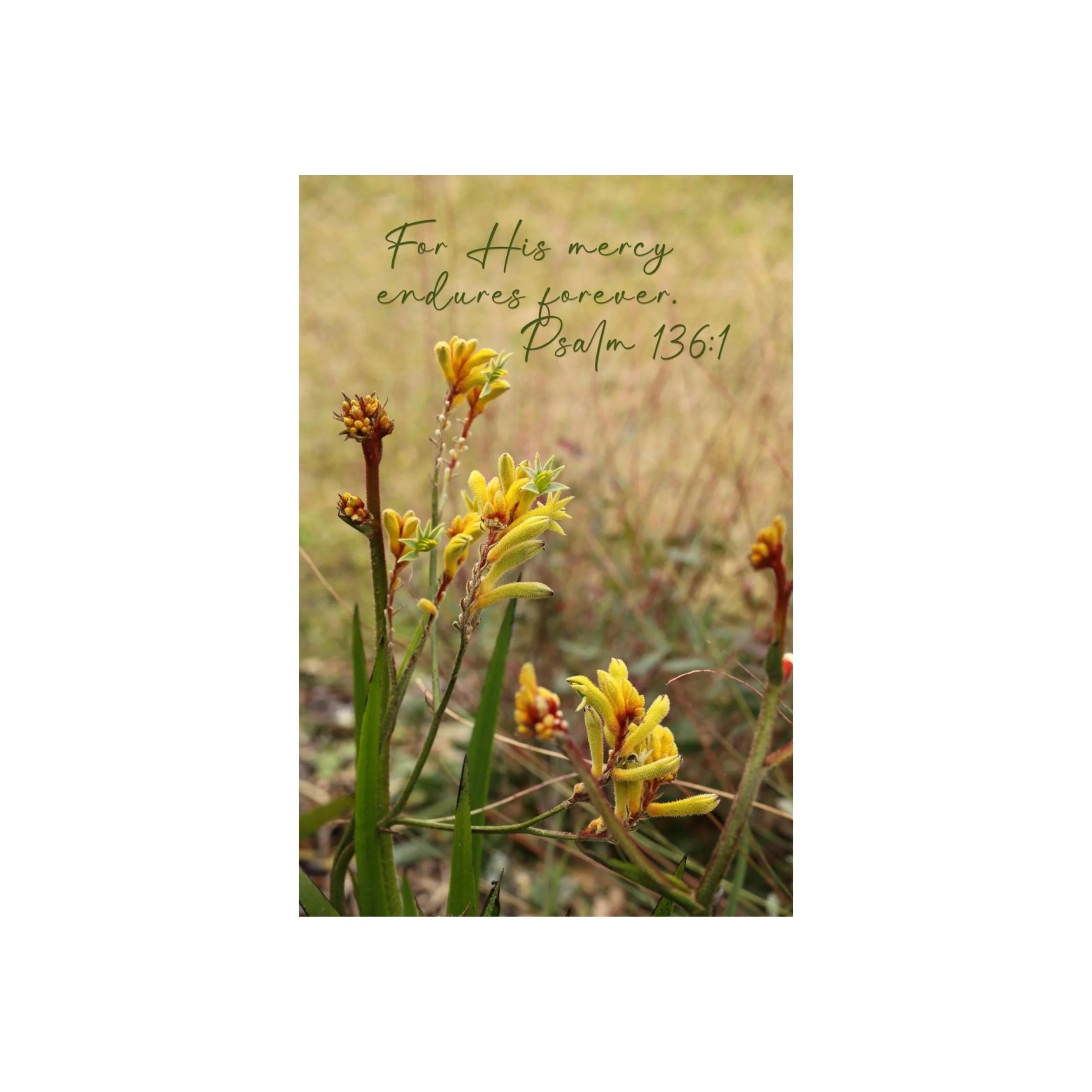 Psalm 136:1 His Mercy Matted Print