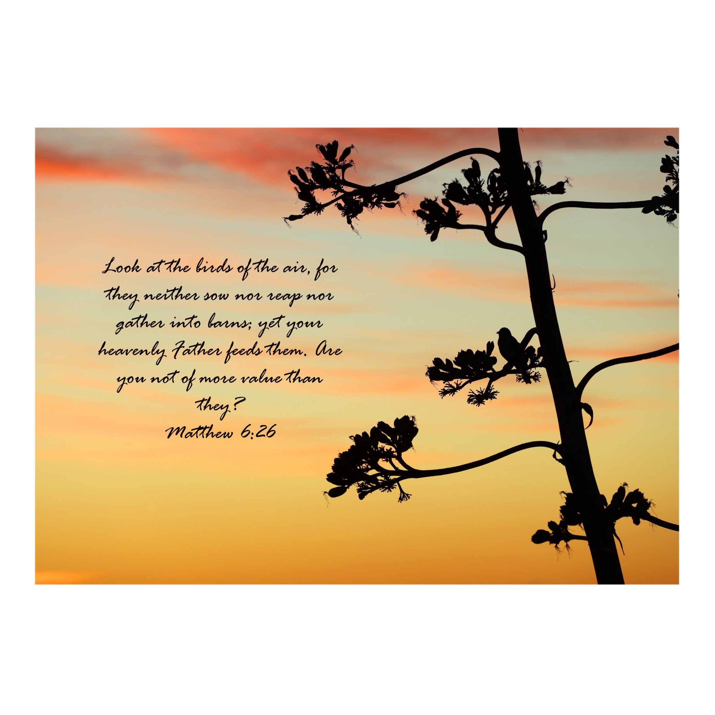 Matthew 6:26 Birds Of The Air Print