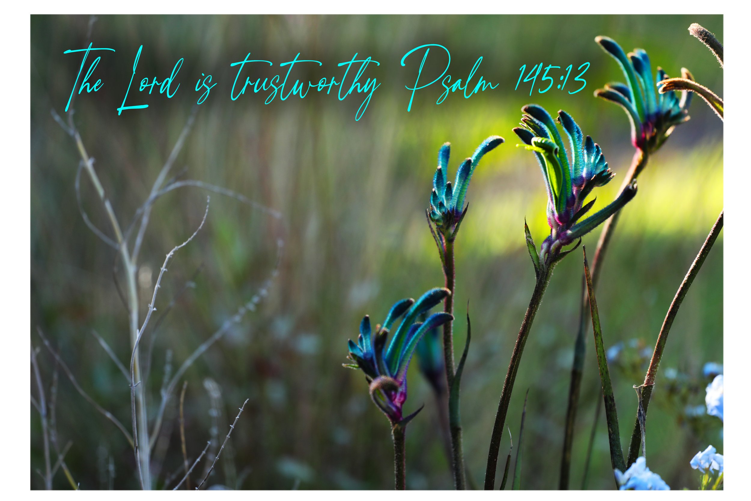 Psalm 145:13 The Lord Is Trustworthy Matted Print