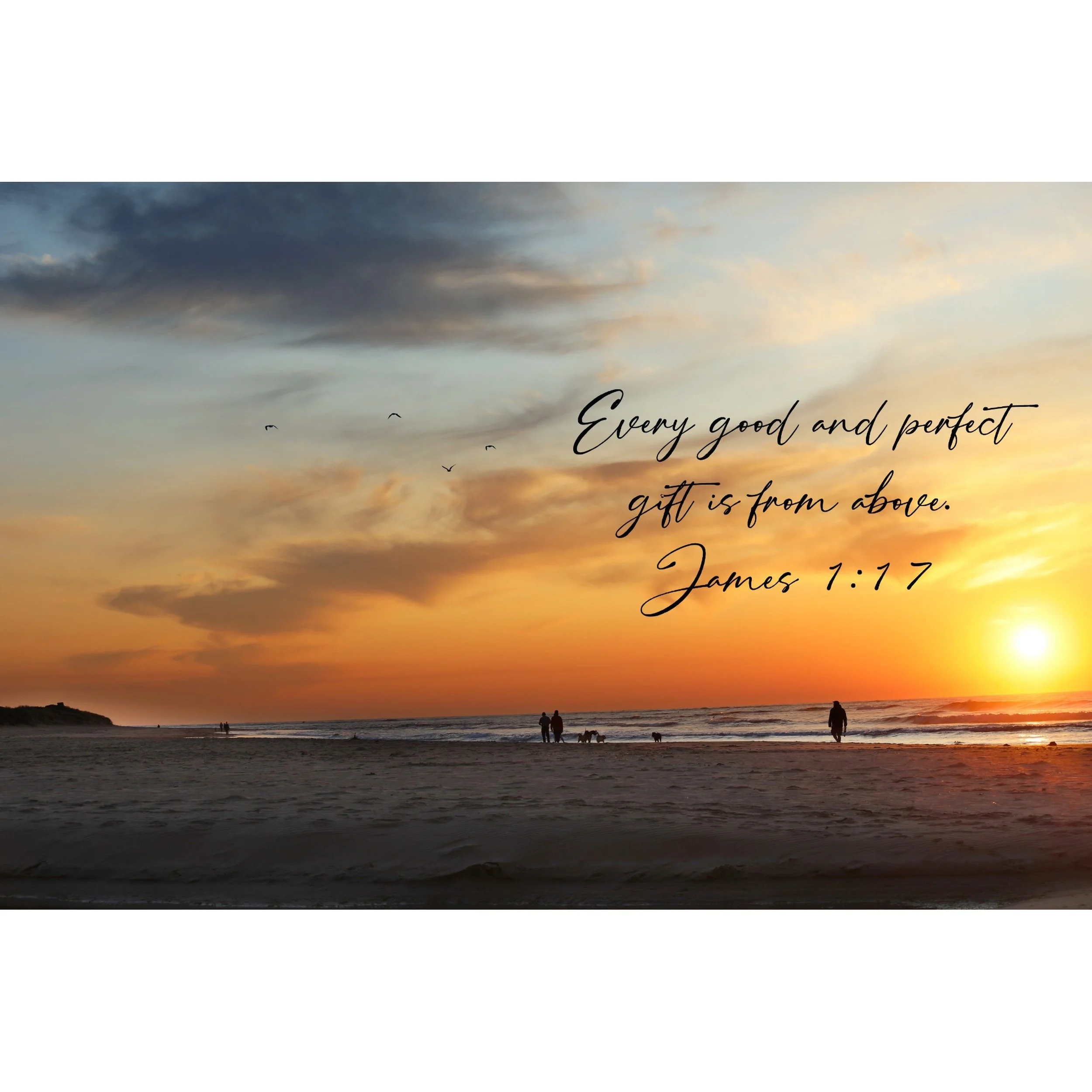 211A0417_Squarespace_2500.jpg