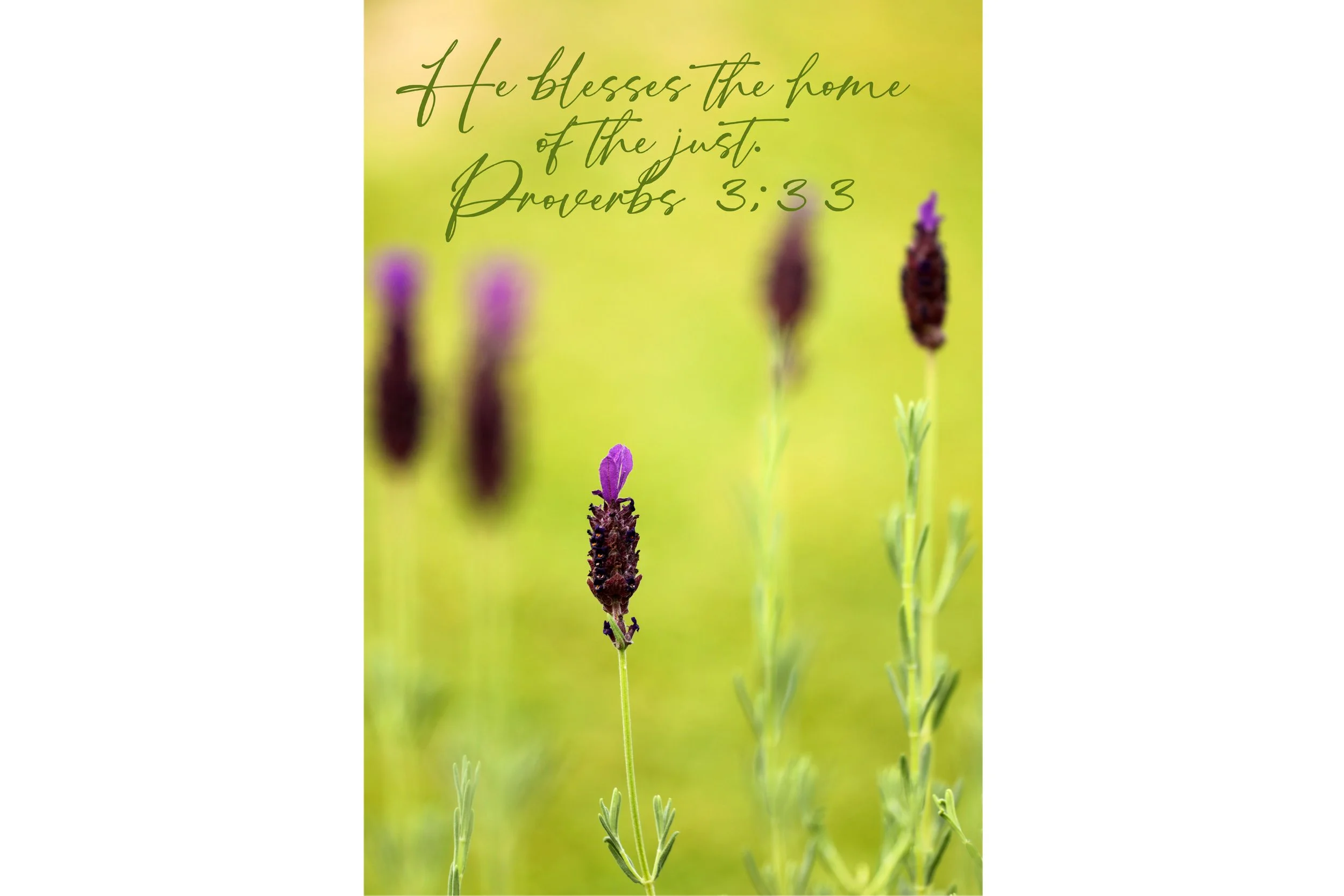 Proverbs 3:33 Blesses The Home Of The Just Print