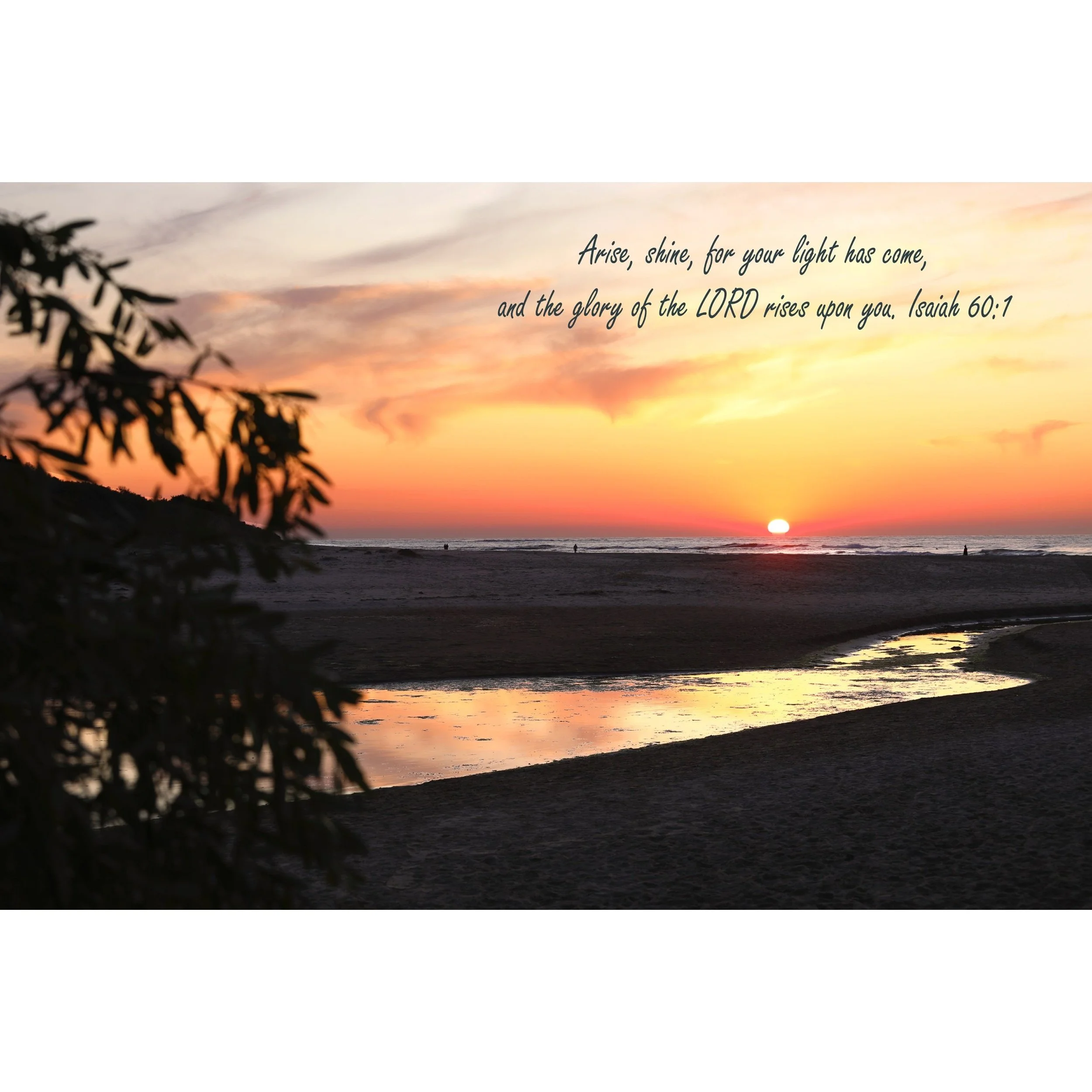 211A0386BGEDIT_Squarespace2500.jpg