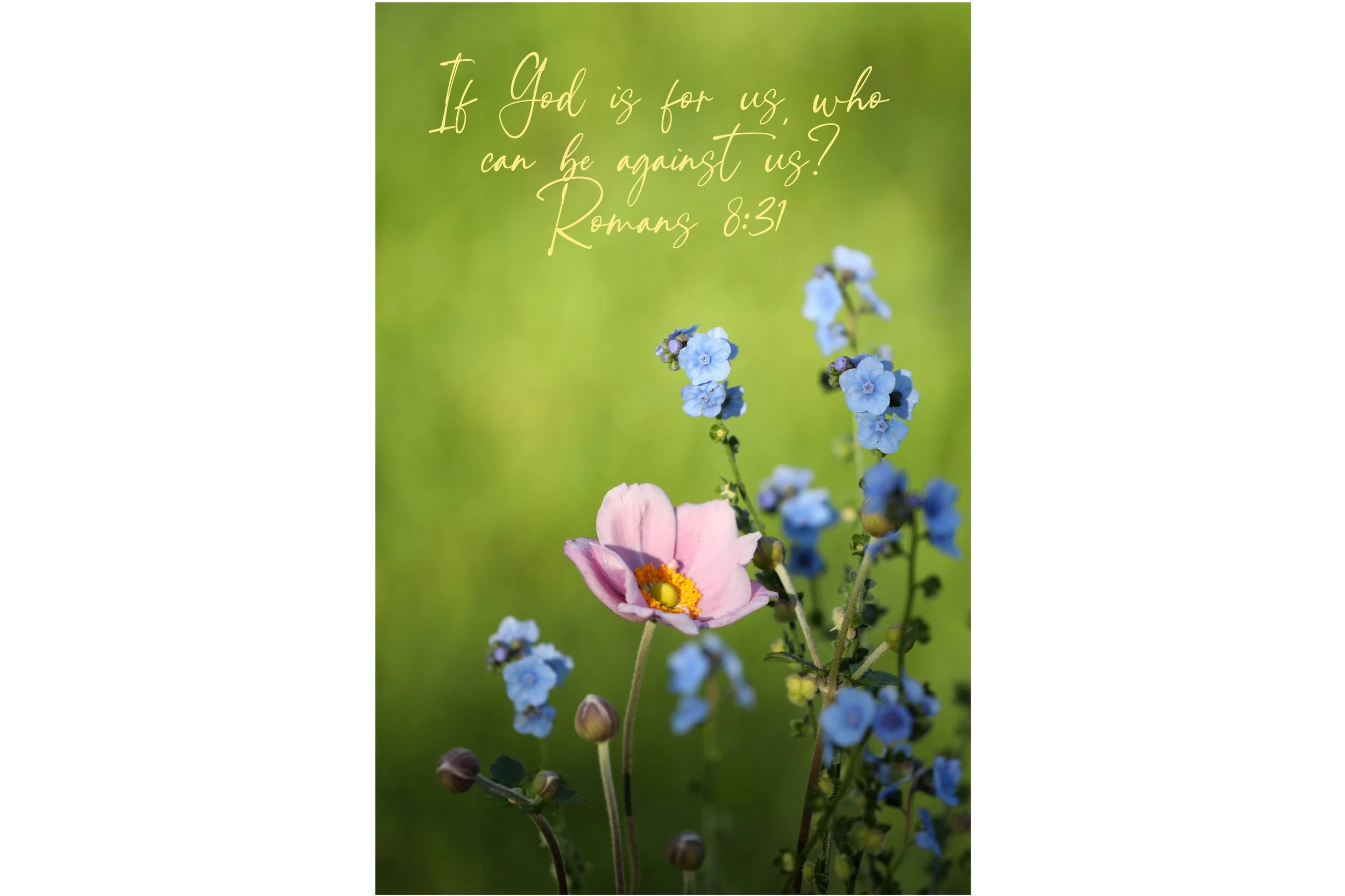 Romans 8:31 God Is For Us Print
