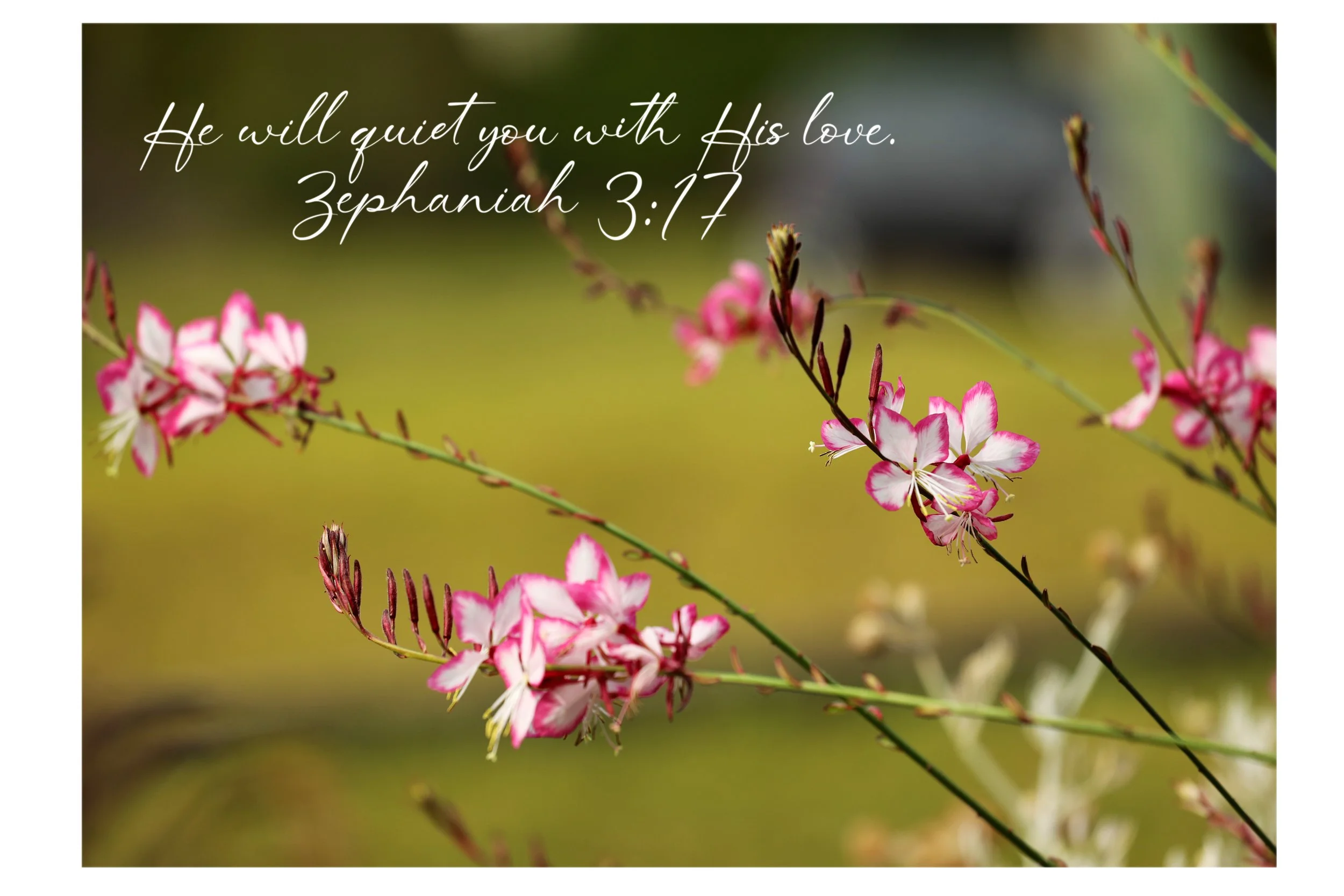 Zephaniah 3:17  Quiet You With His Love Print