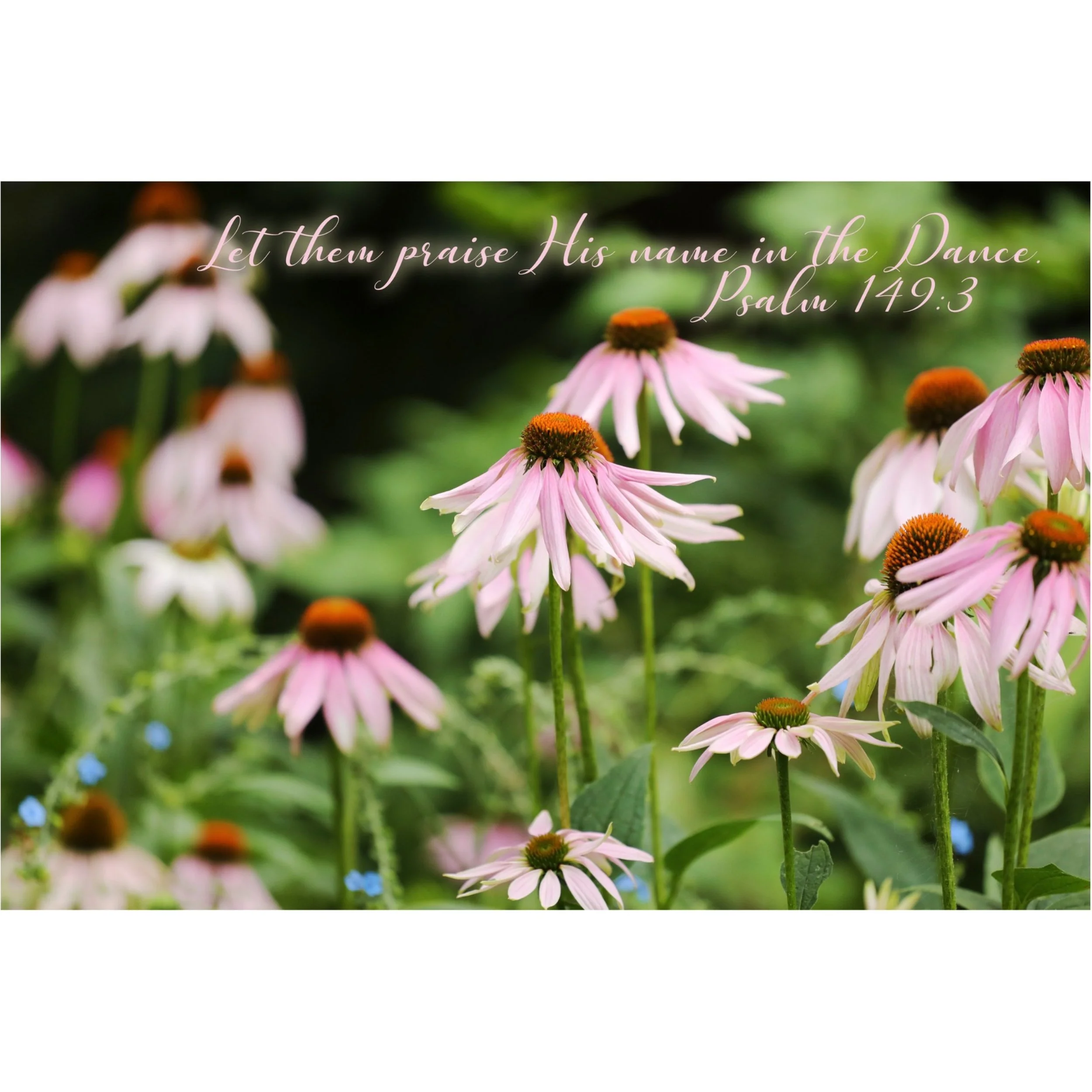 Psalm 149:3 Praise His Name In The Dance Matted Print