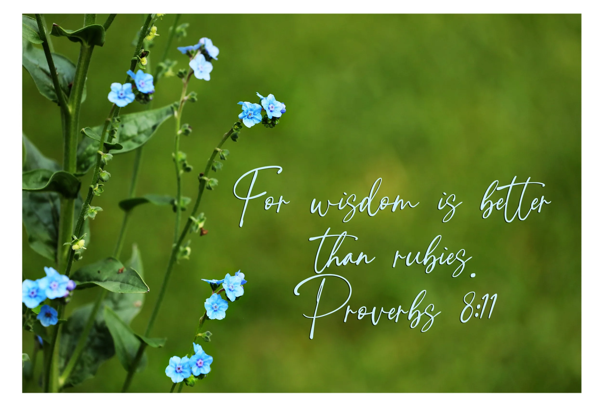 Proverbs 8:11 Wisdom Better Than Rubies Framed Print