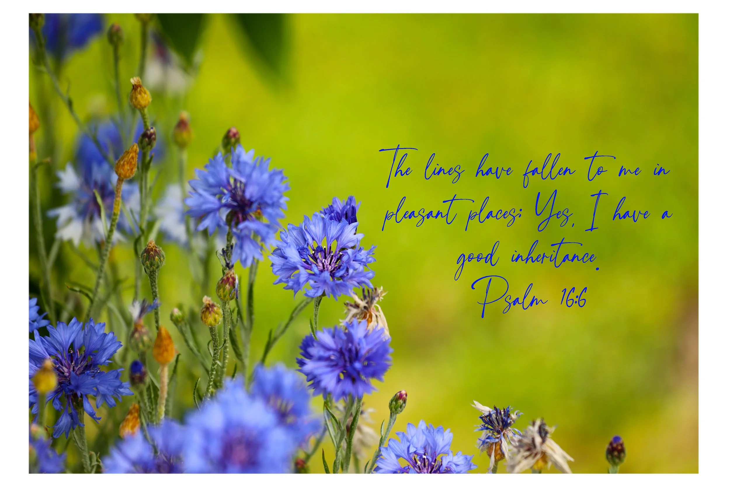 Psalm 16:6 Good Inheritance Print