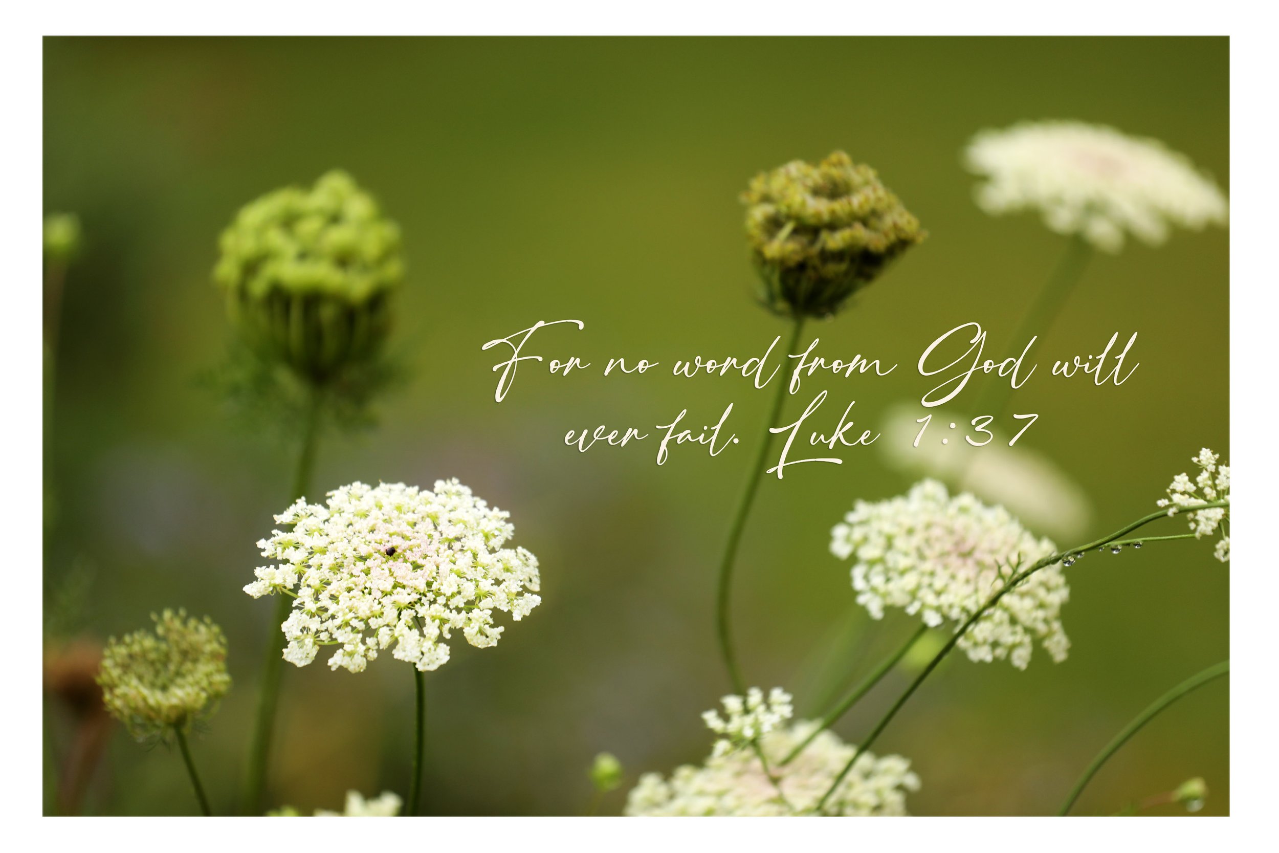 Luke 1:37 No Word Will Ever Fail Print