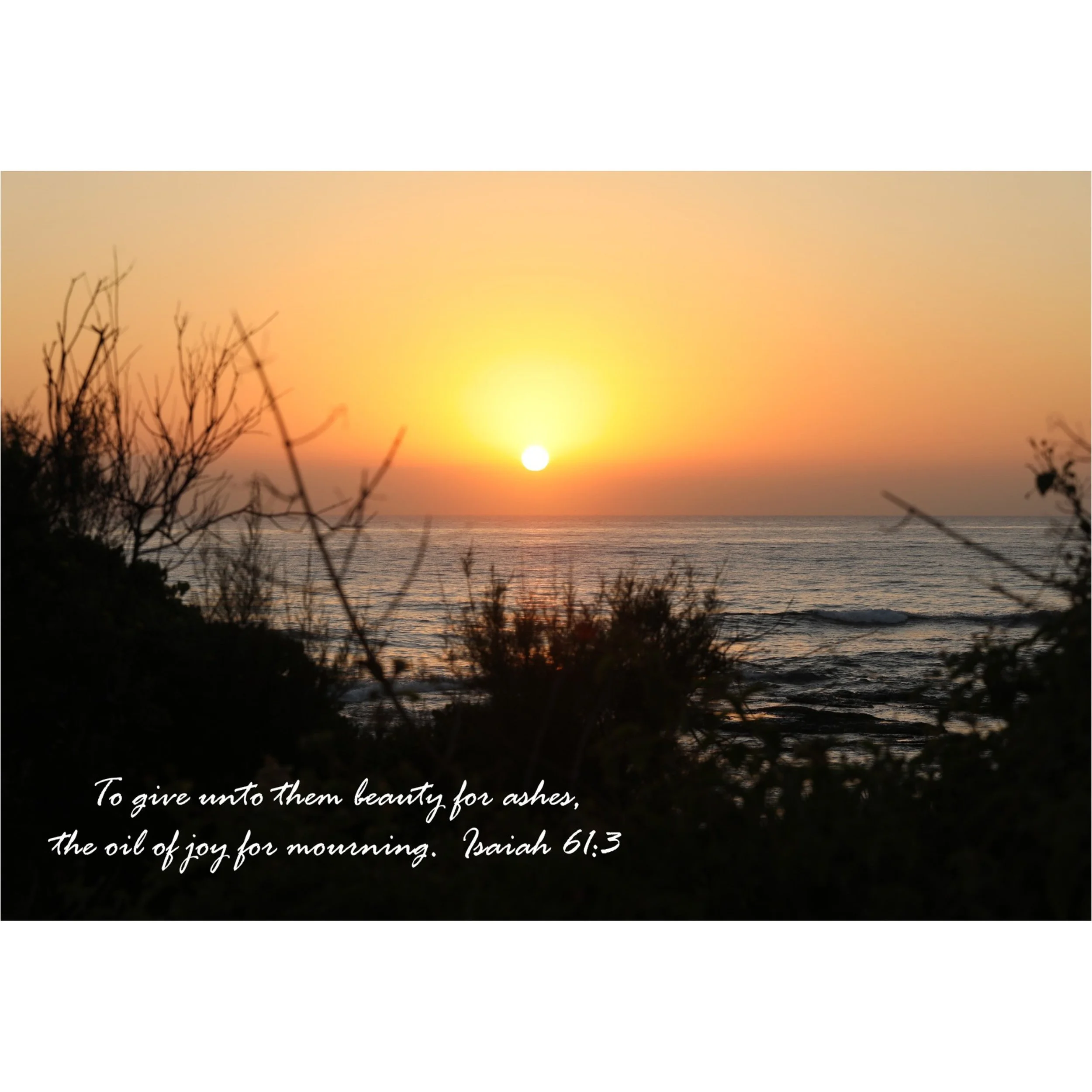 Isaiah 61:3 Beauty For Ashes Matted Print