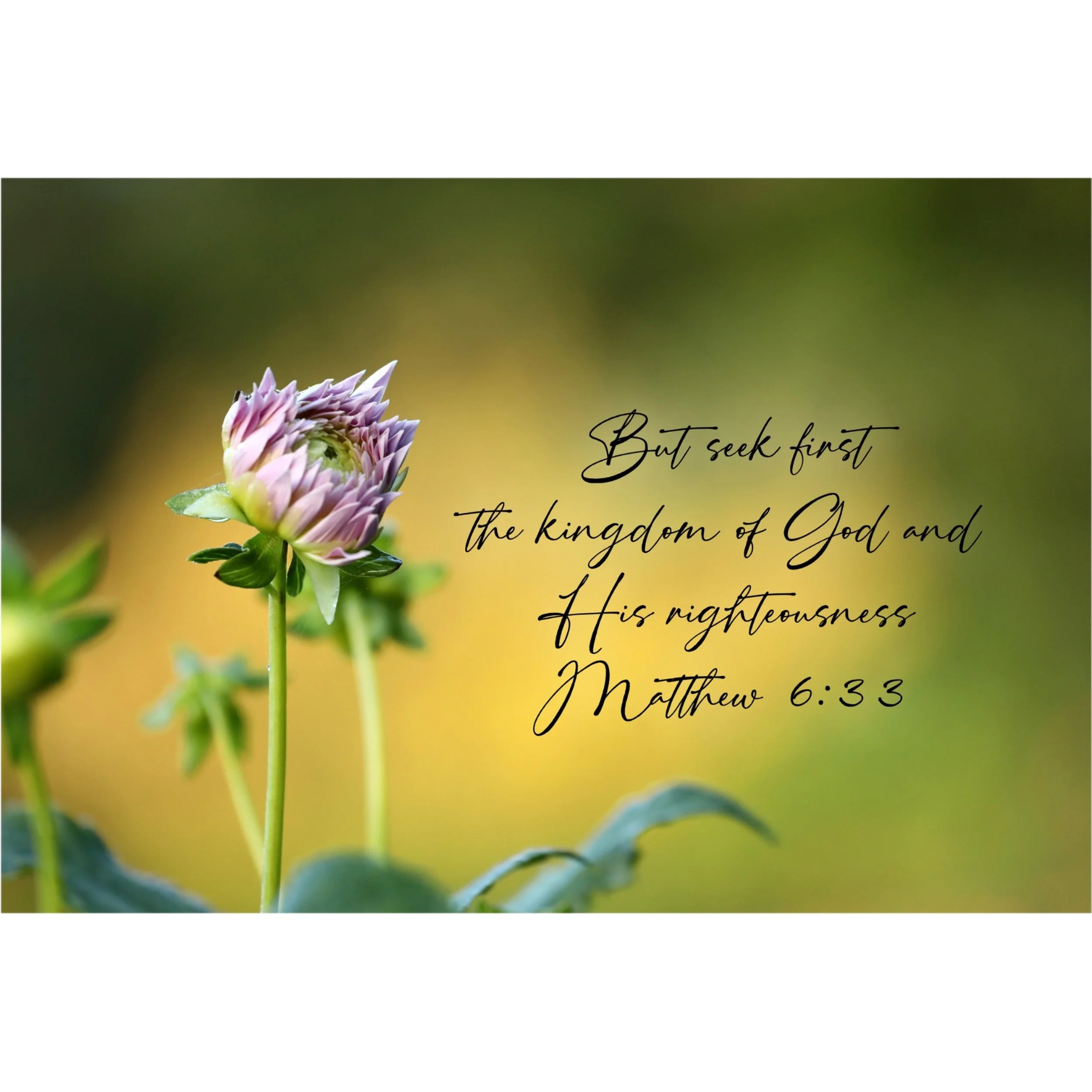 Matthew 6:33 But Seek First Matted Print
