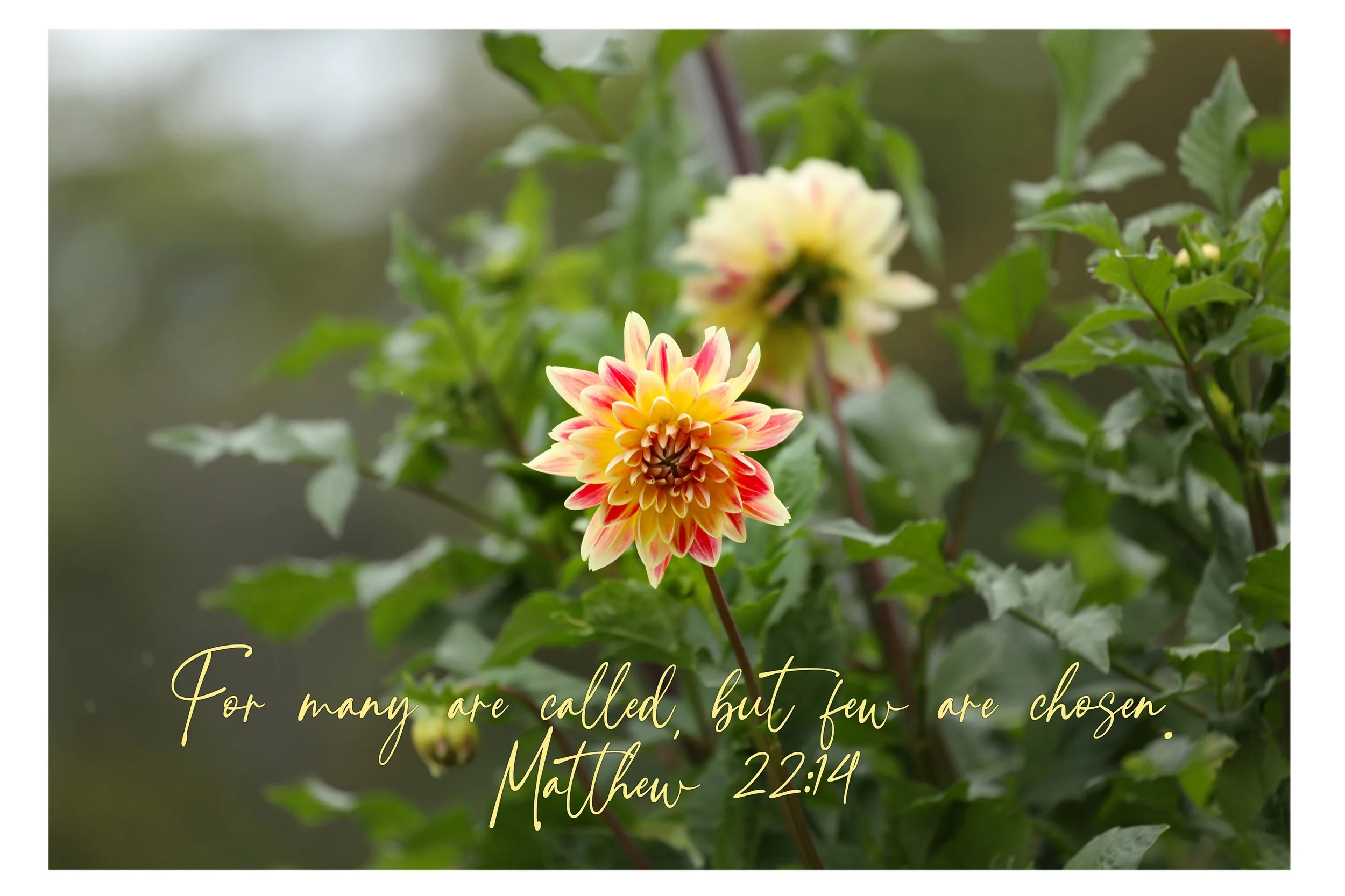 Matthew 22:14 For Many Are Called Matted Print