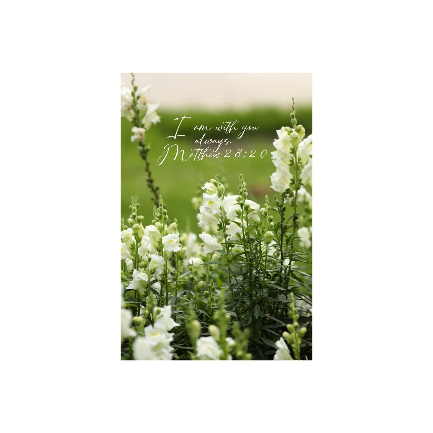 Christian Greeting Cards, Bible Verse Card Bundle #3, Scripture Cards, God Cards