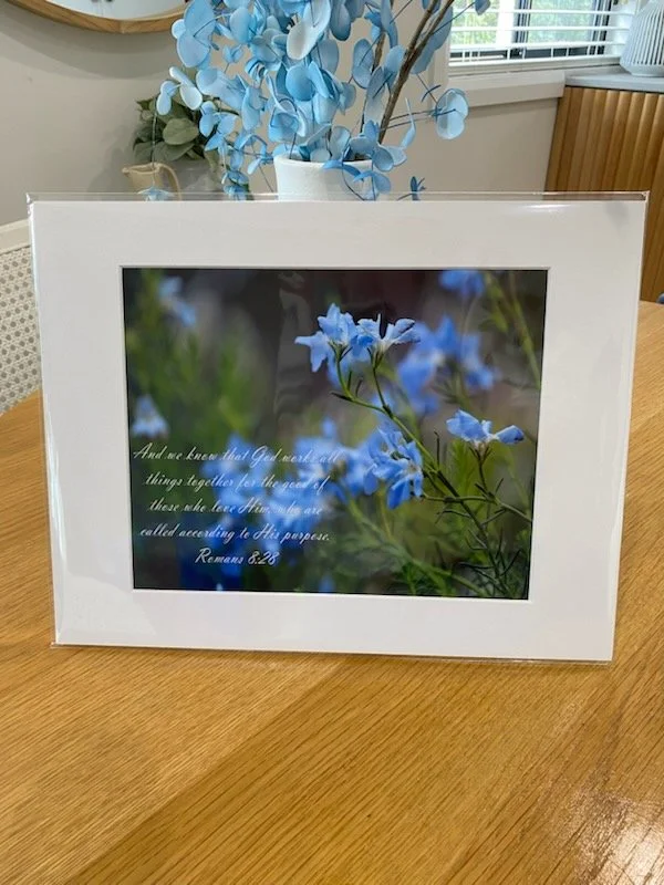 4685654547139697206.jpg (Copy) (Copy) (Copy) (Copy) (Copy) (Copy) (Copy) (Copy) (Copy) (Copy) (Copy)