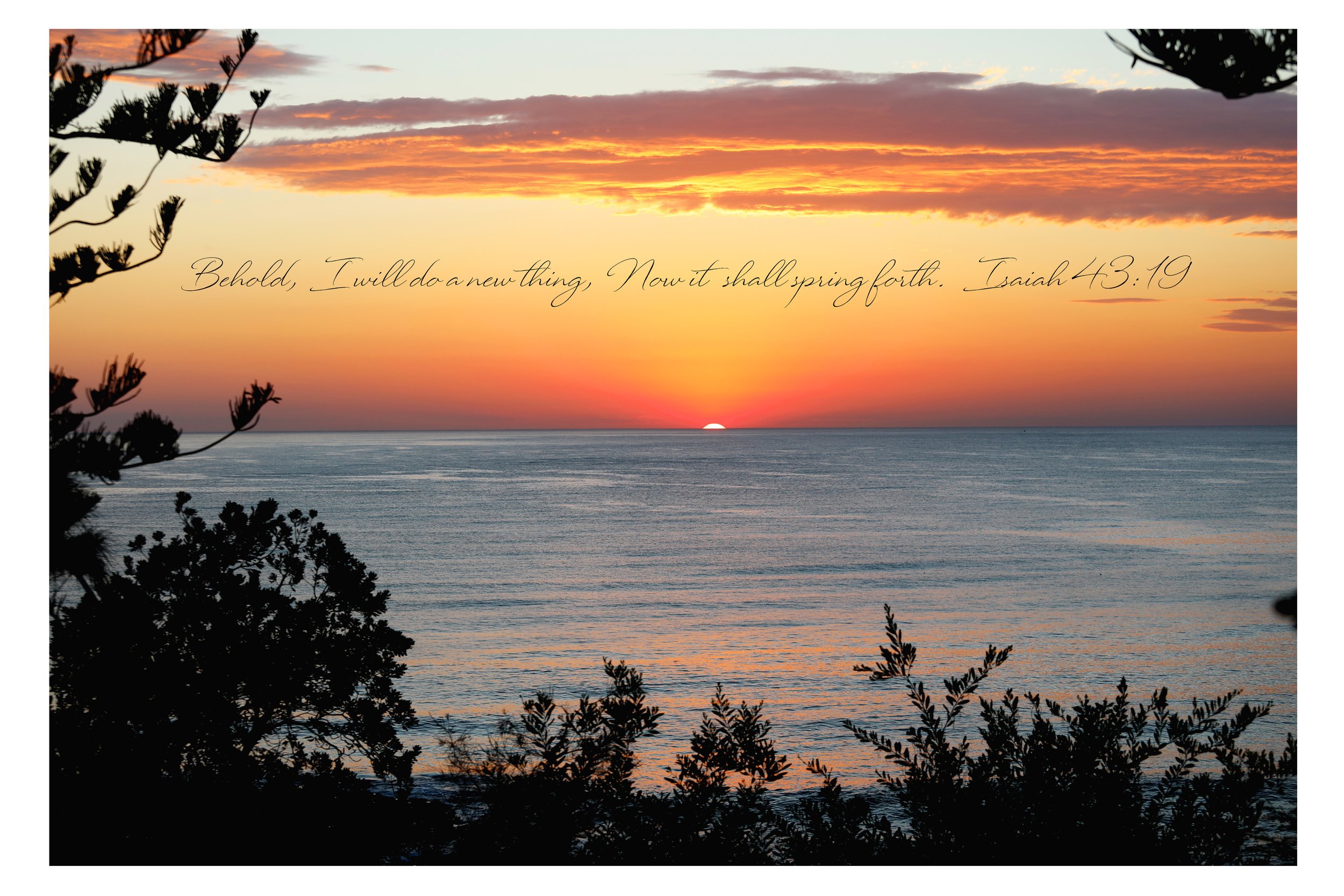 Isaiah 43:19 A New Thing Print
