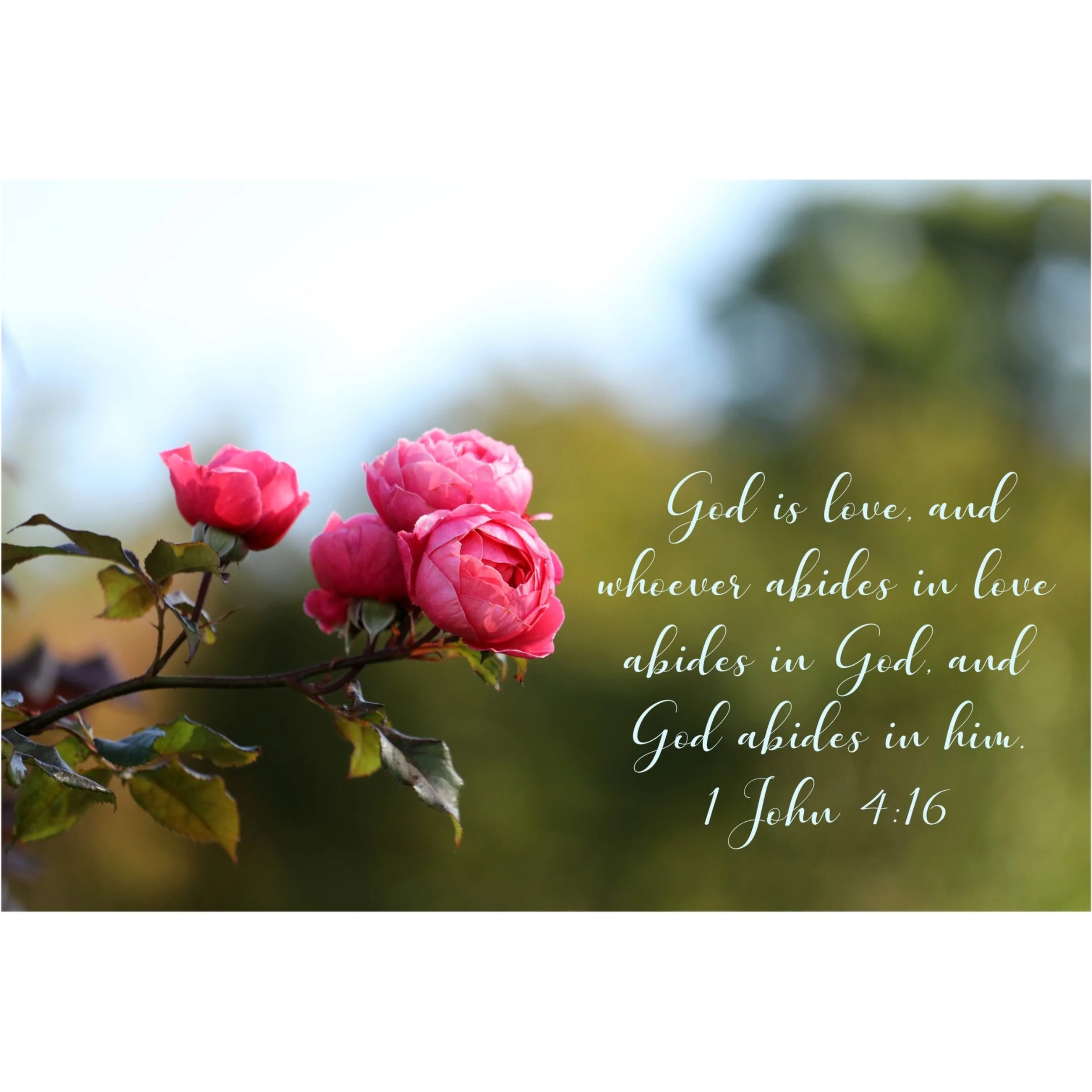 1 John 4:16 Love Abides In God Matted Print