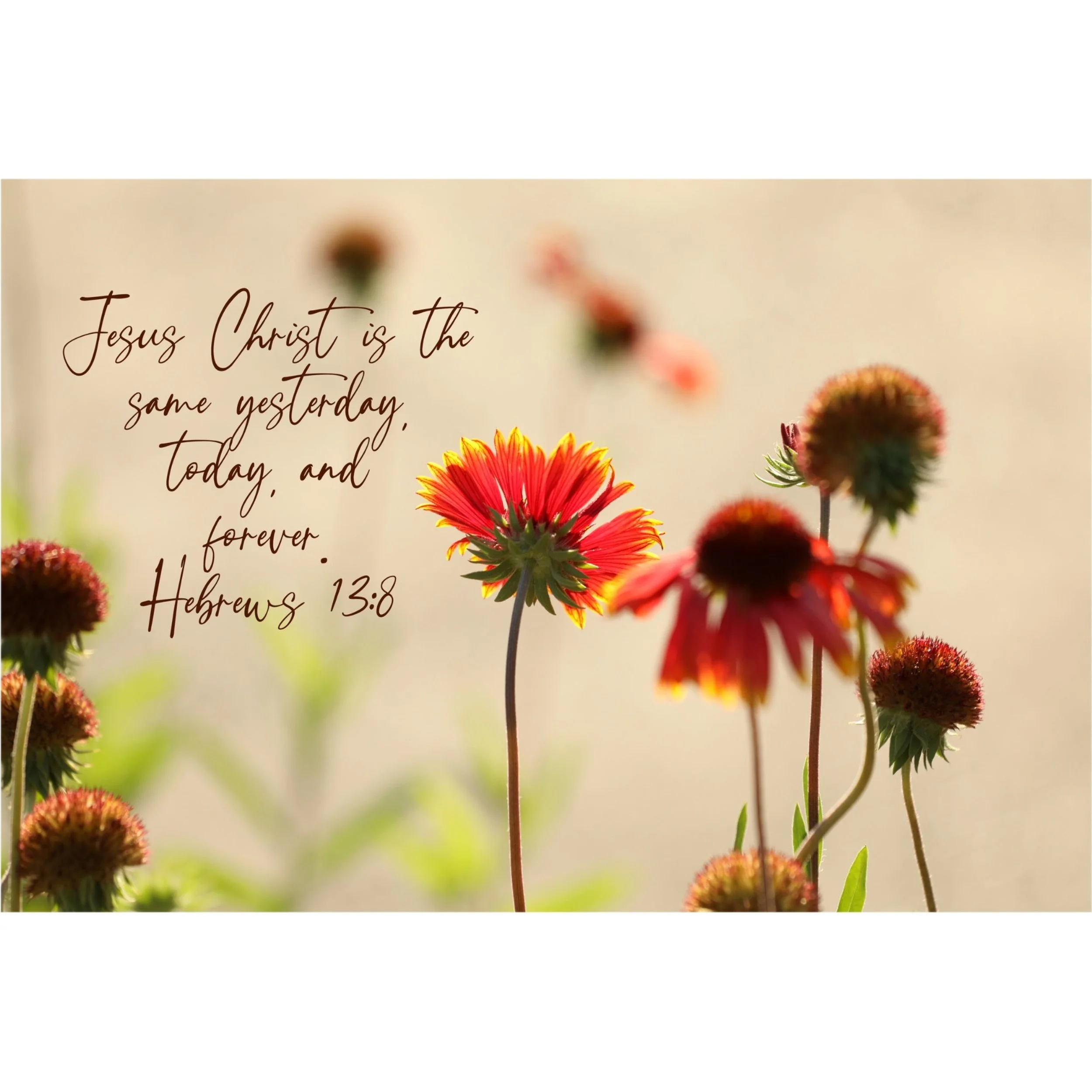 Hebrews 13:8 Christ Forever Matted Print