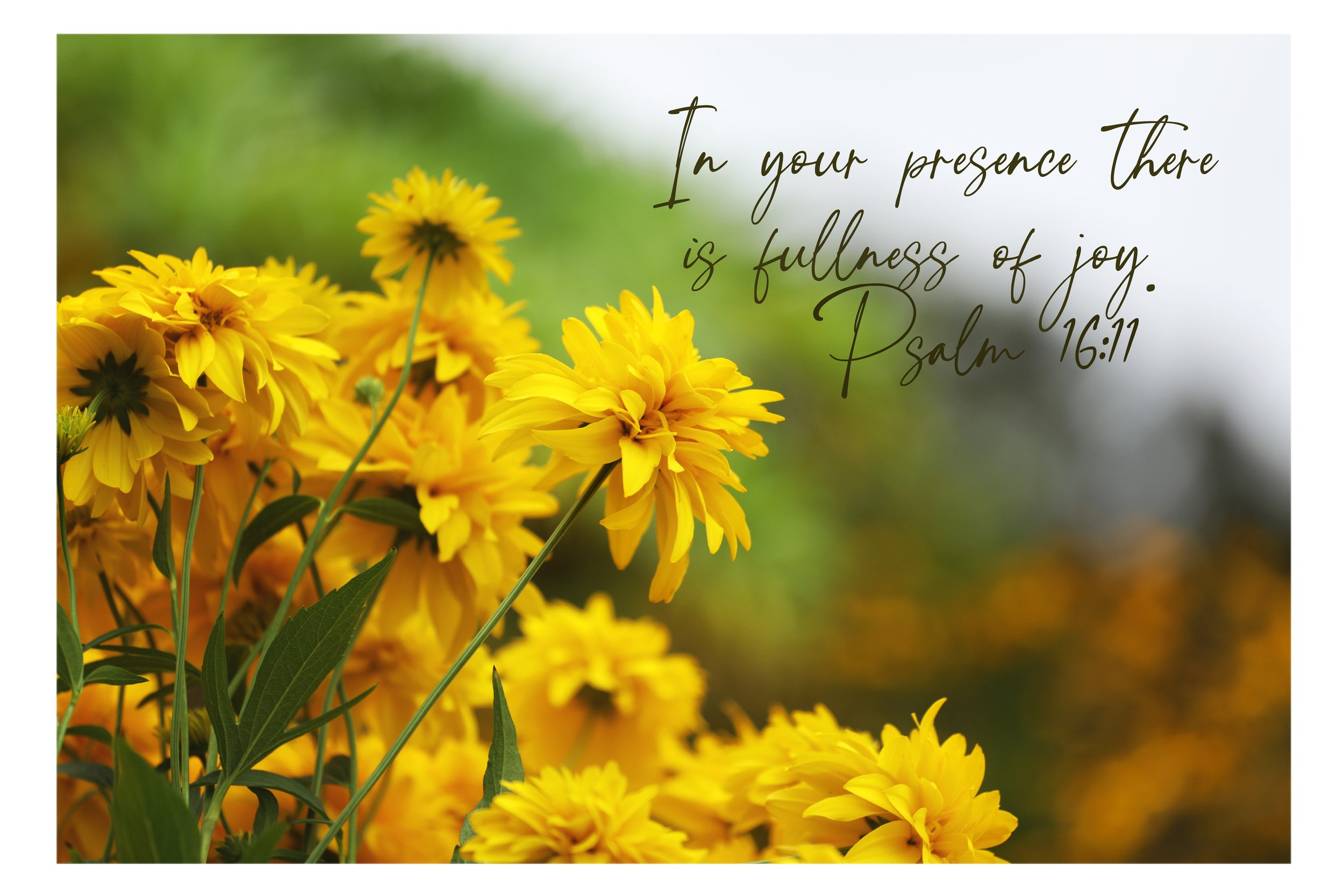 Psalm 16:11 In Your Presence Framed Print