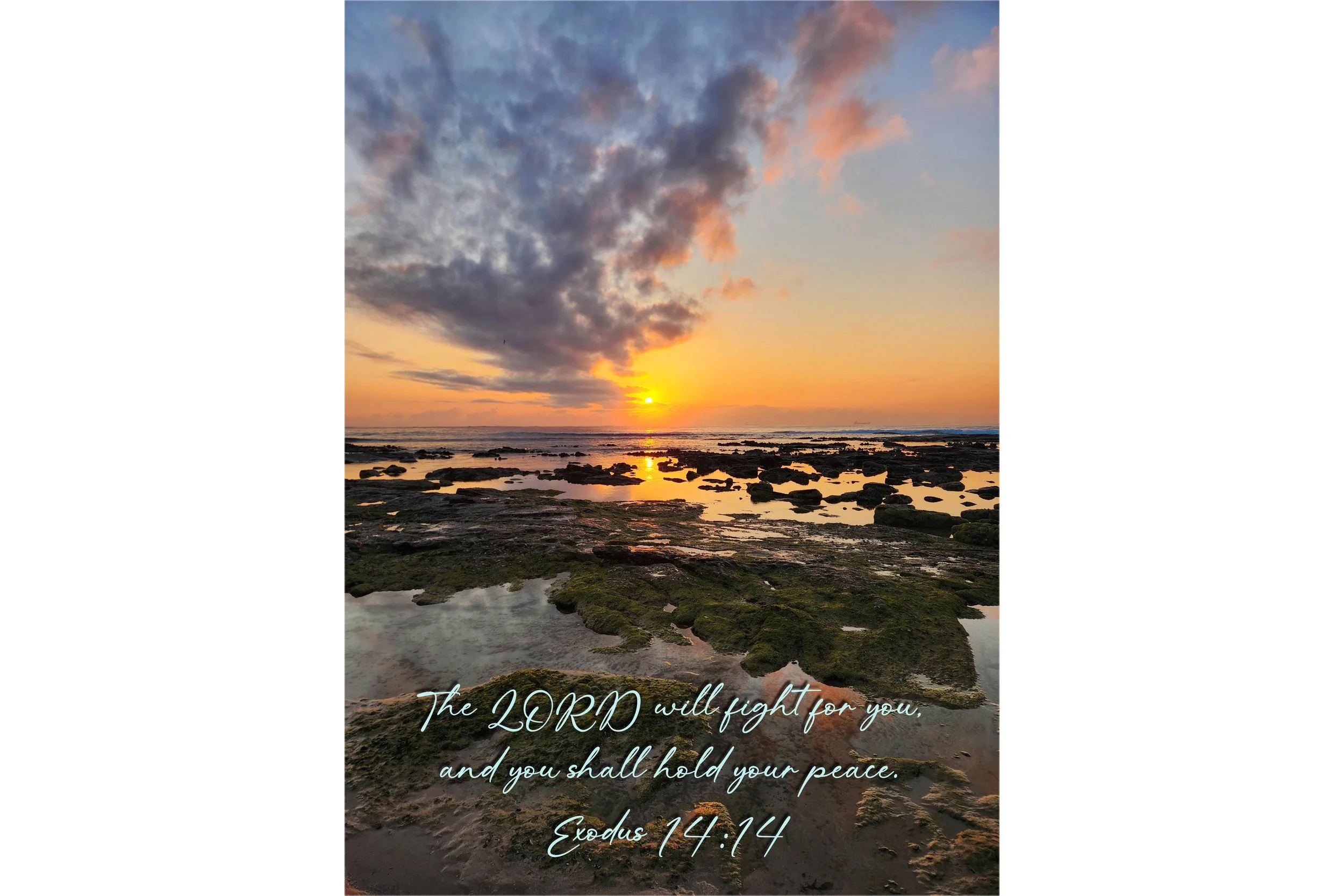 Exodus 14:14 Hold Your Peace Print