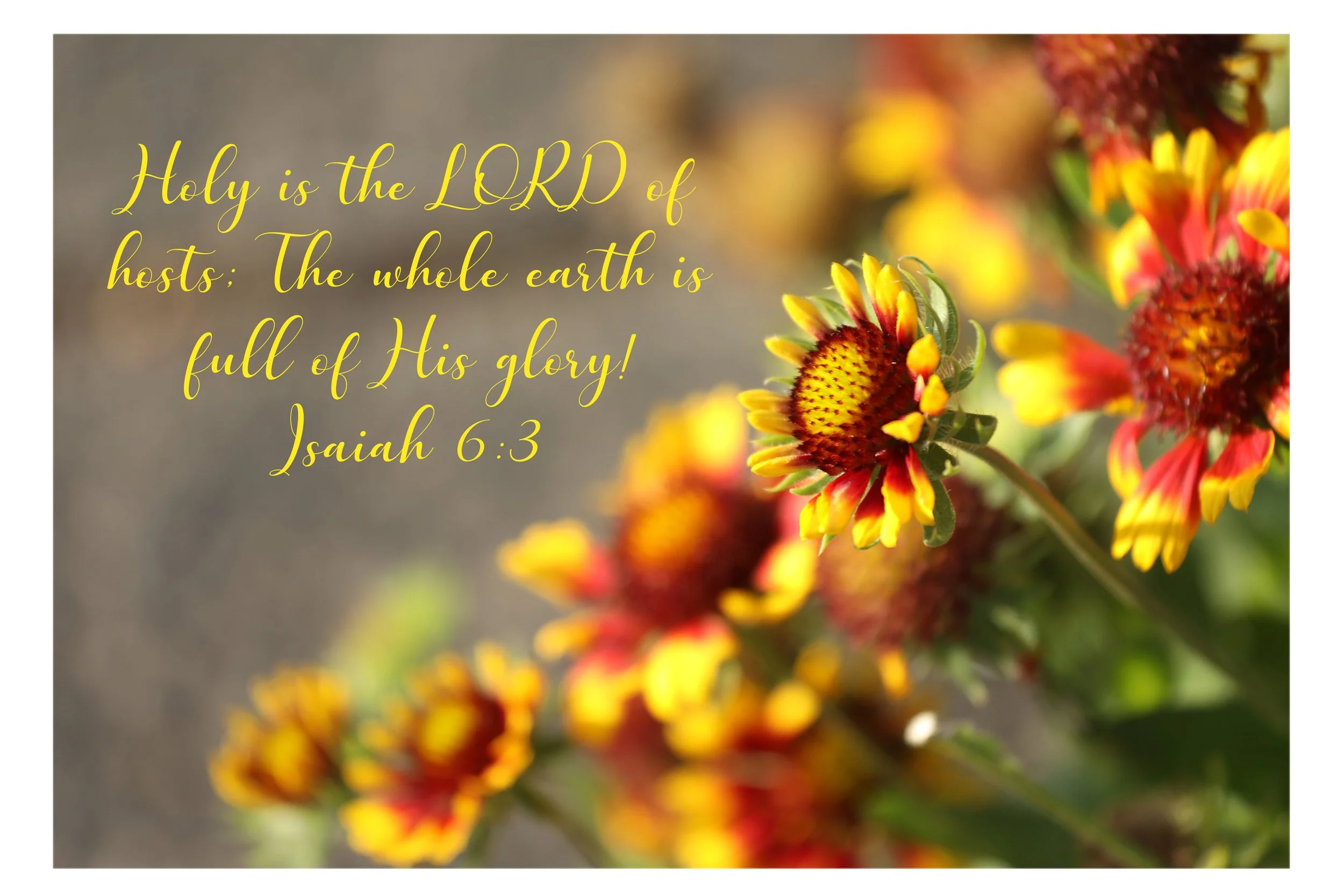 Isaiah 6:3 Earth Is Full Of His Glory Framed Print