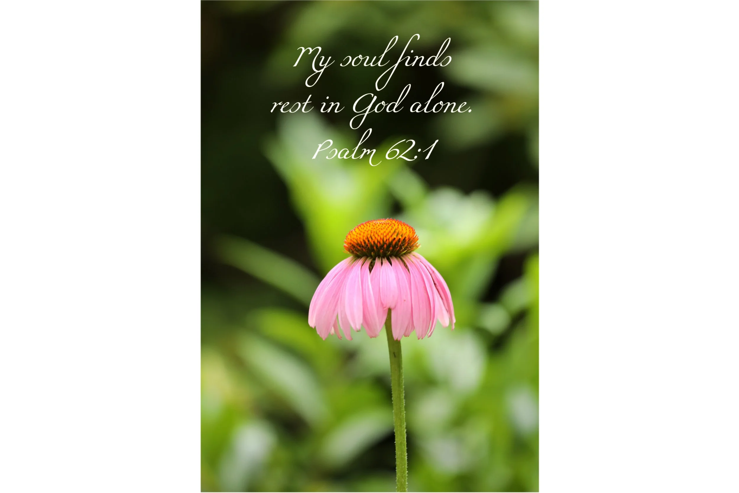 Psalm 62:1 My Soul Finds Rest Framed Print