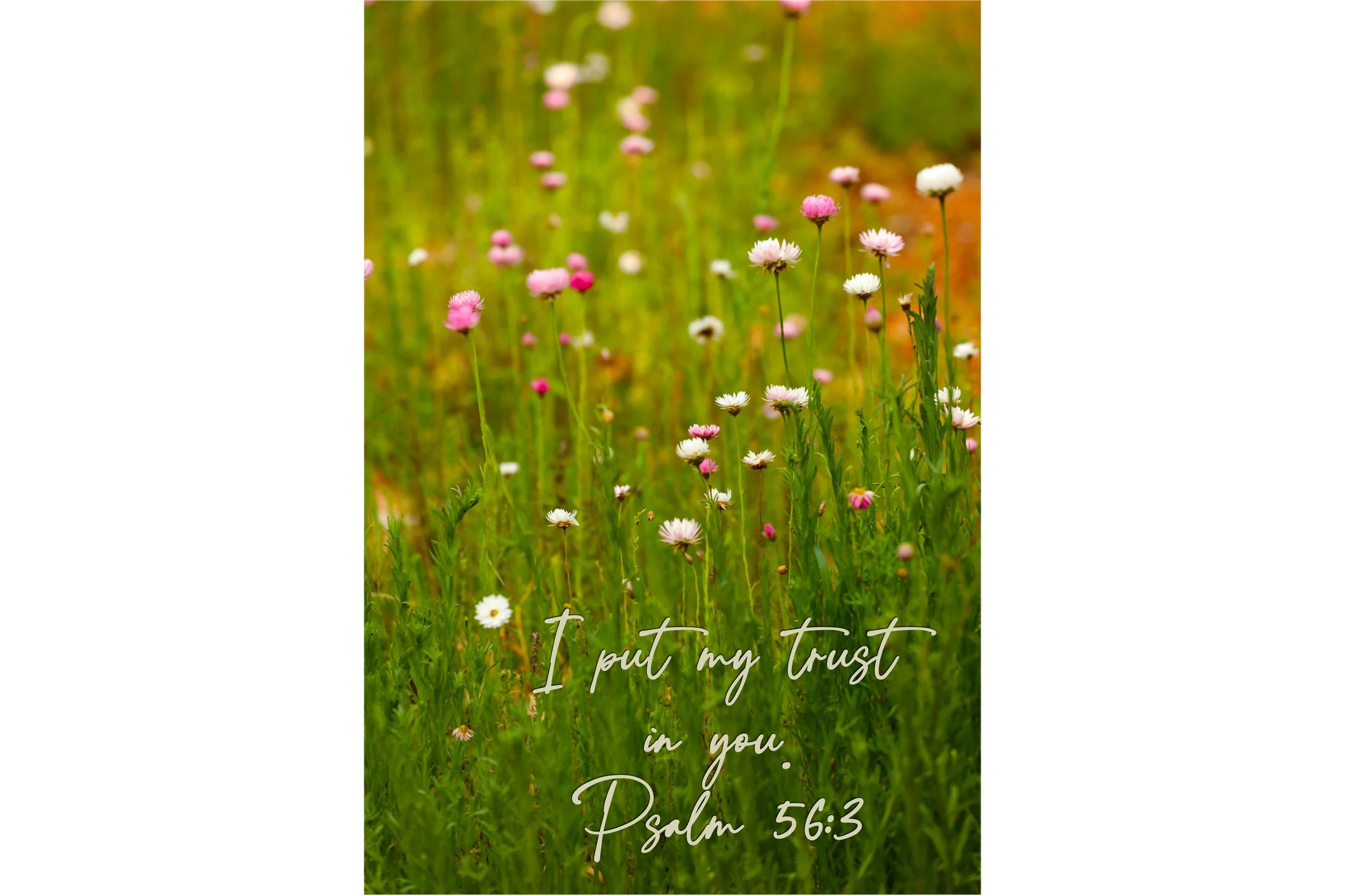 Psalm 56:3 Put My Trust In You Print