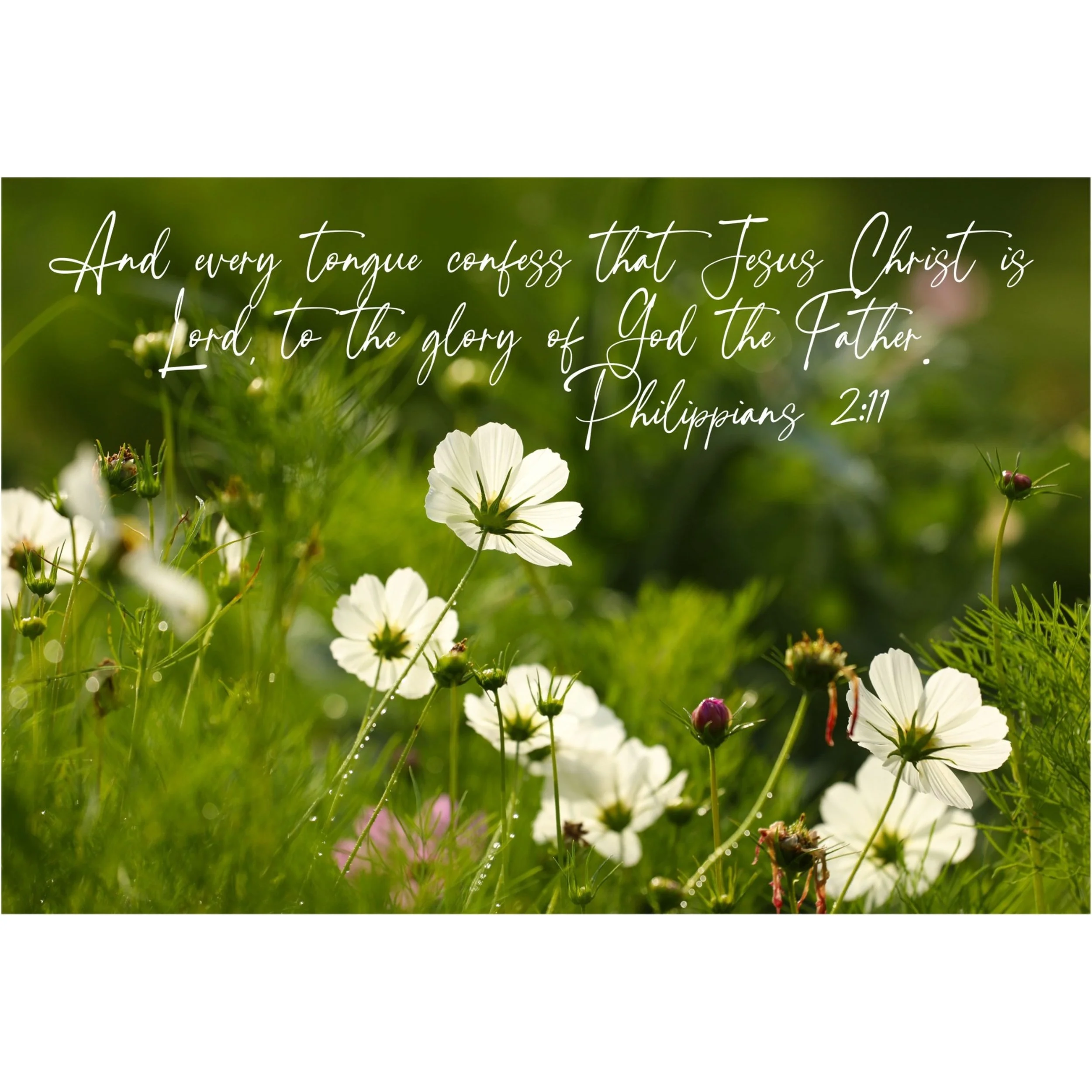 Philippians 2:11 Every Tongue Confess Matted Print
