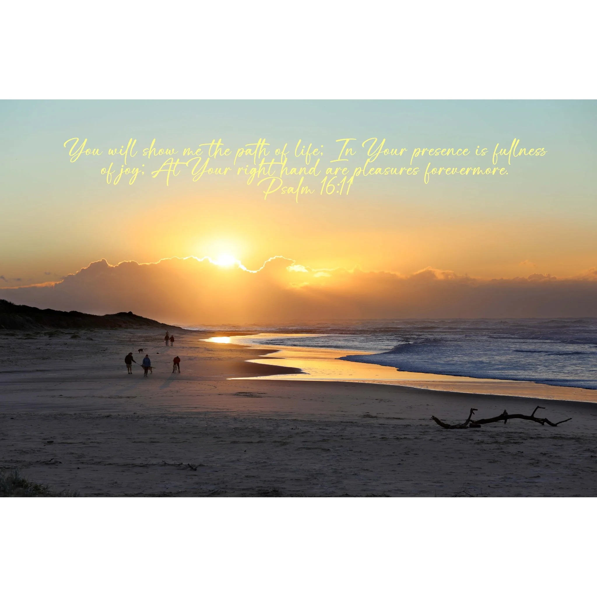 Psalm 16:11 Path Of Life Matted Print