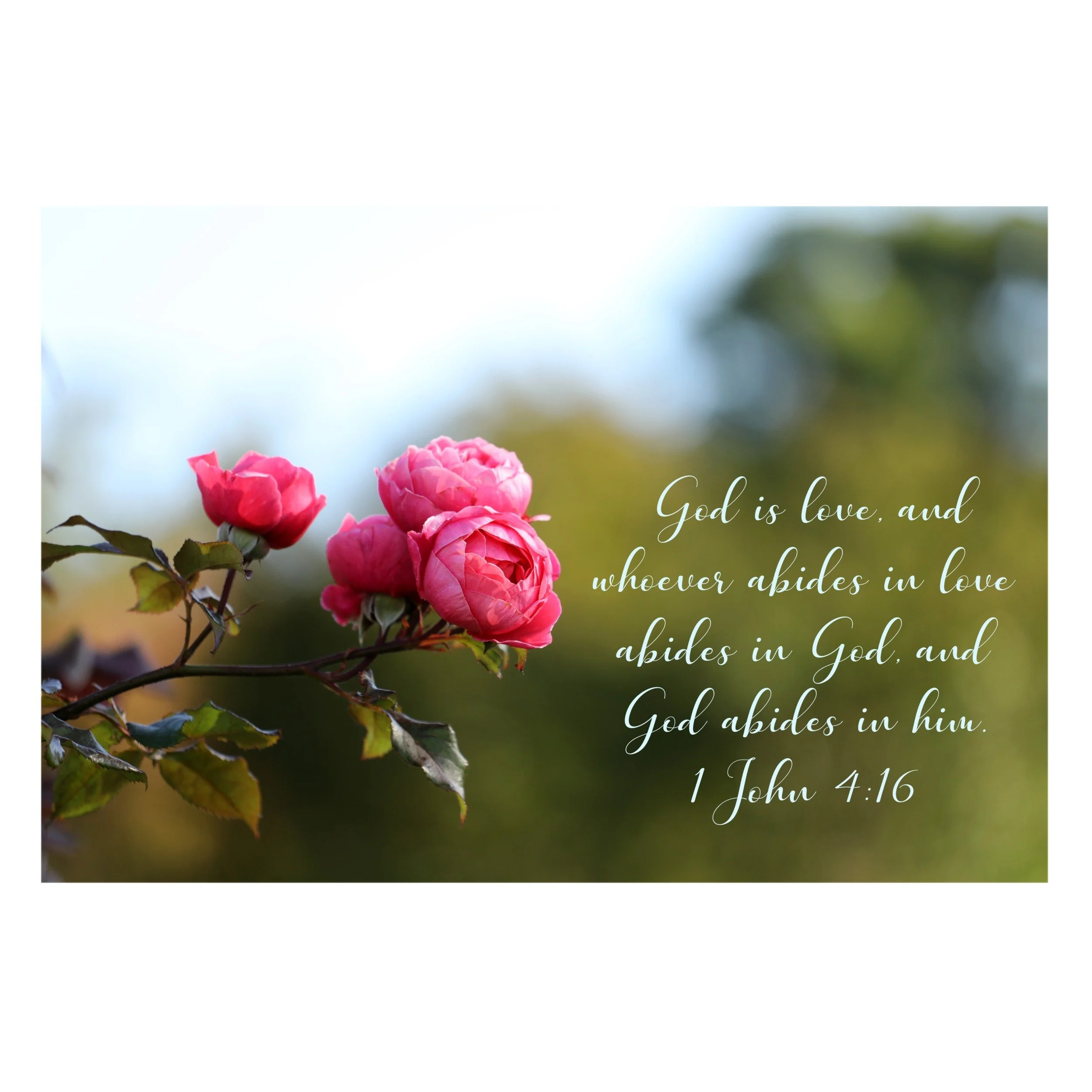 1 John 4:16 Love Abides In God Print