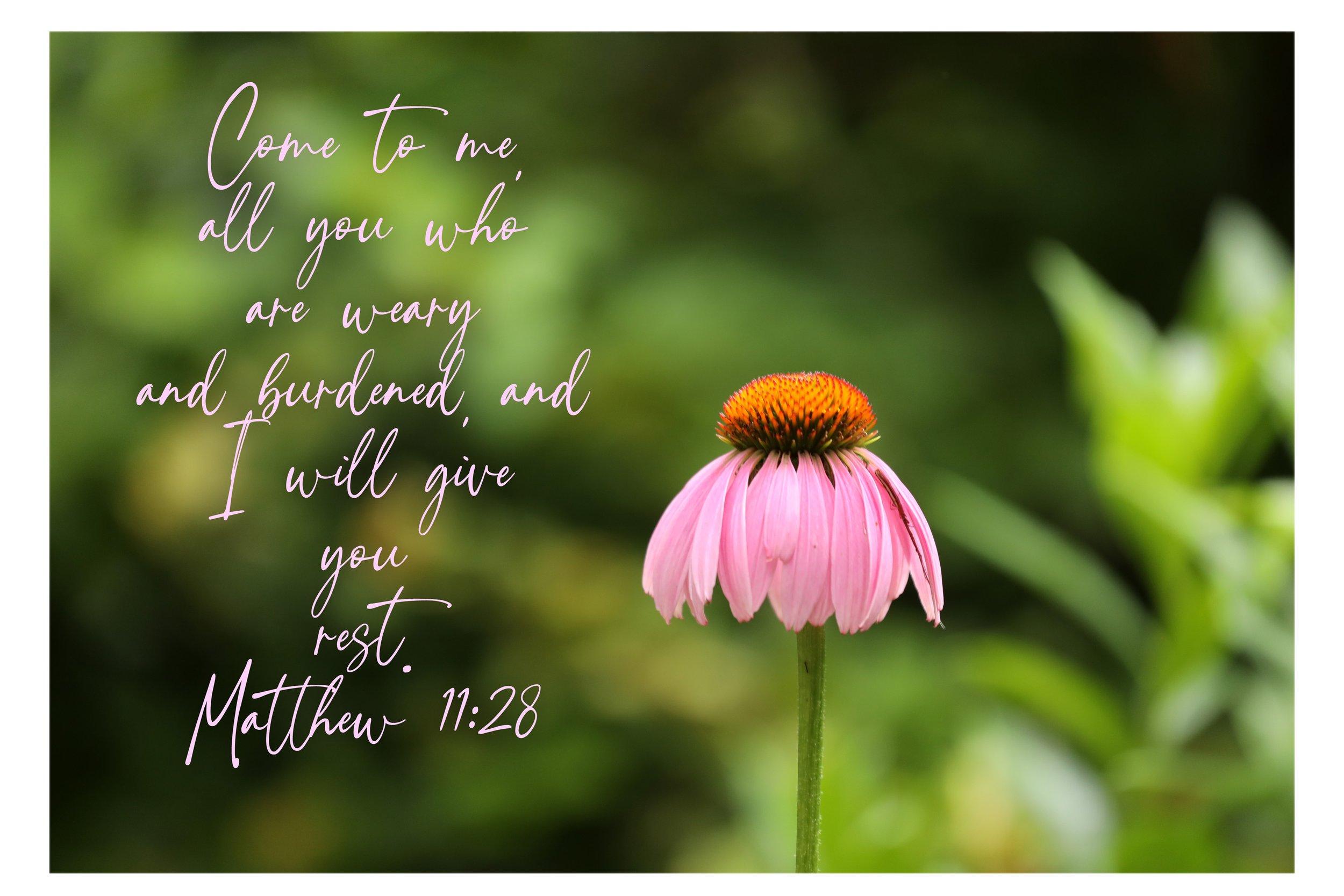 Mathew 11:28 I Will Give You Rest Framed Print