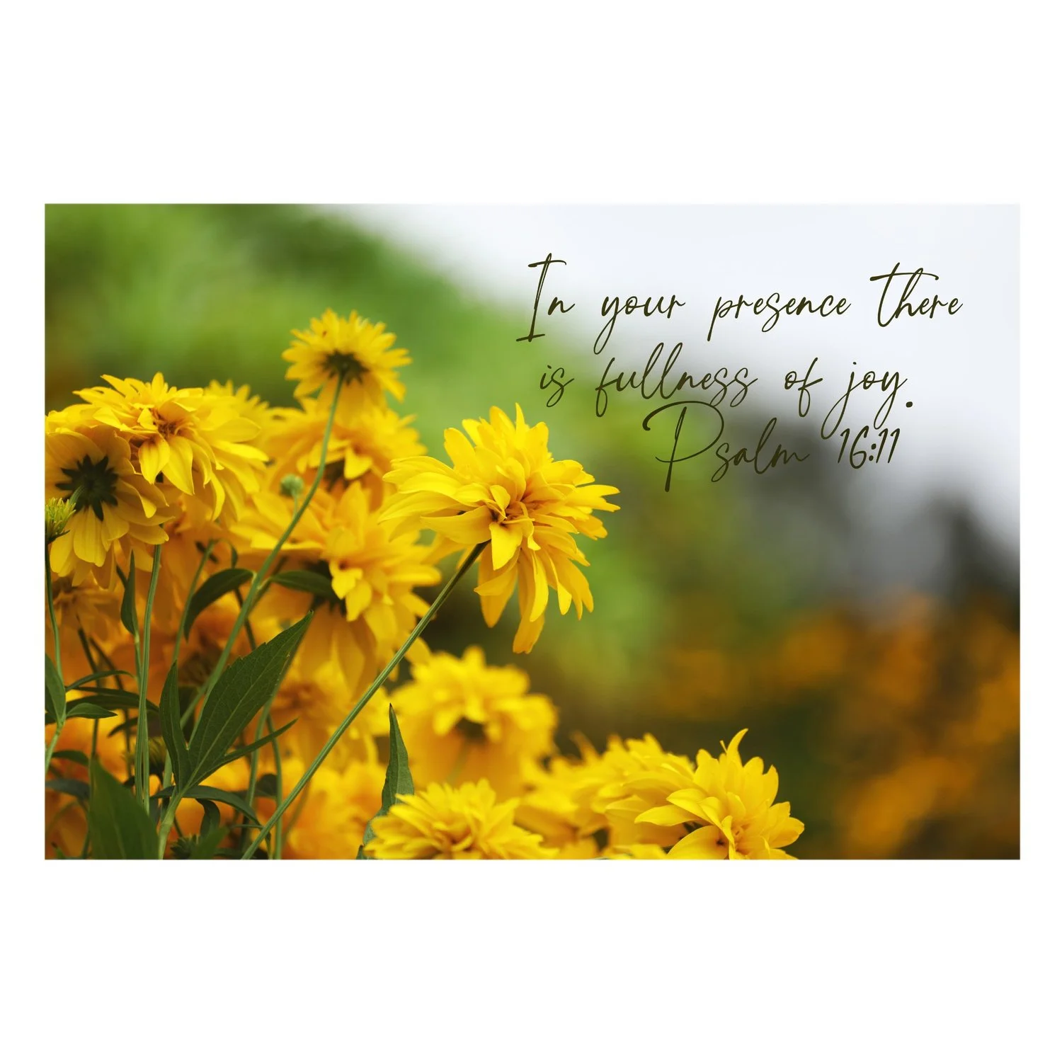 211A8751_Squarespace1500.jpg