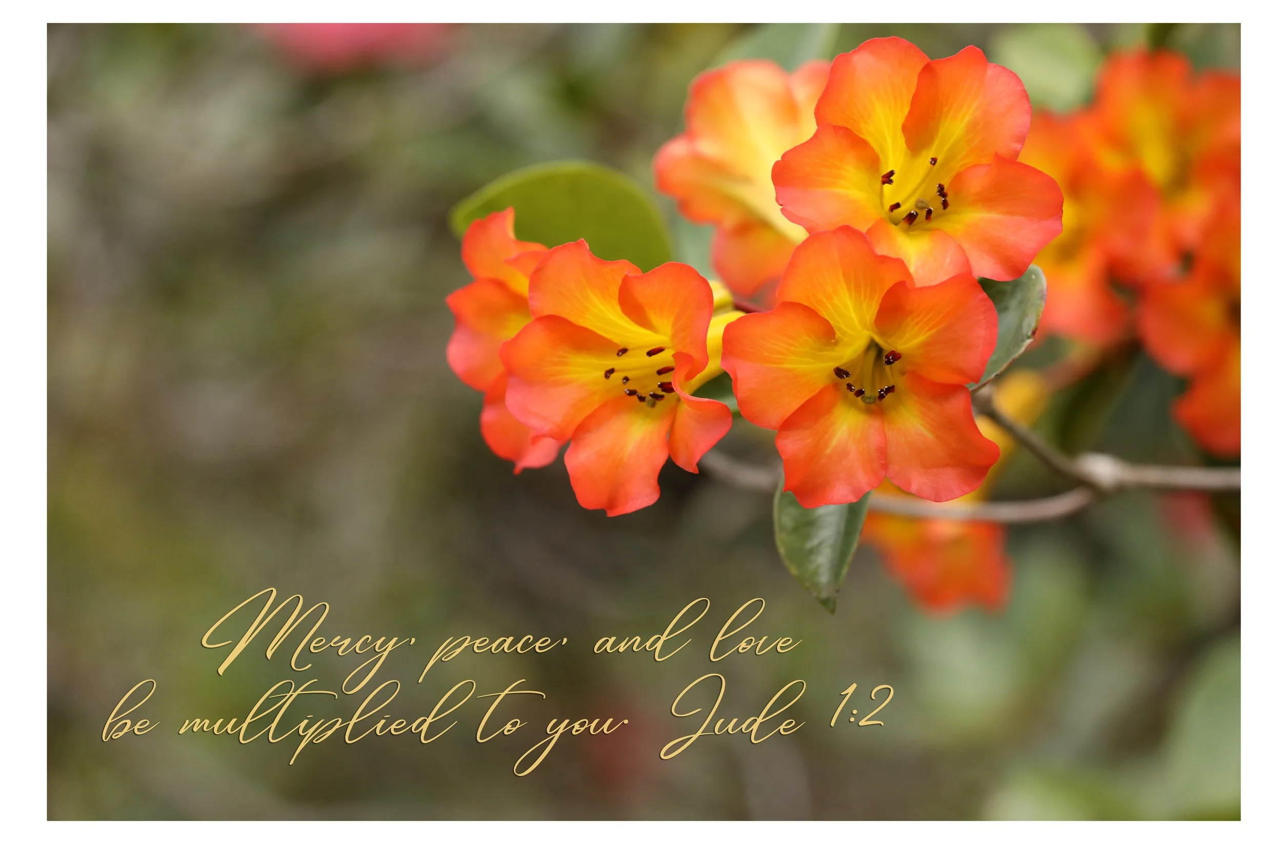 Jude 1:2 Mercy, Peace, And Love Print