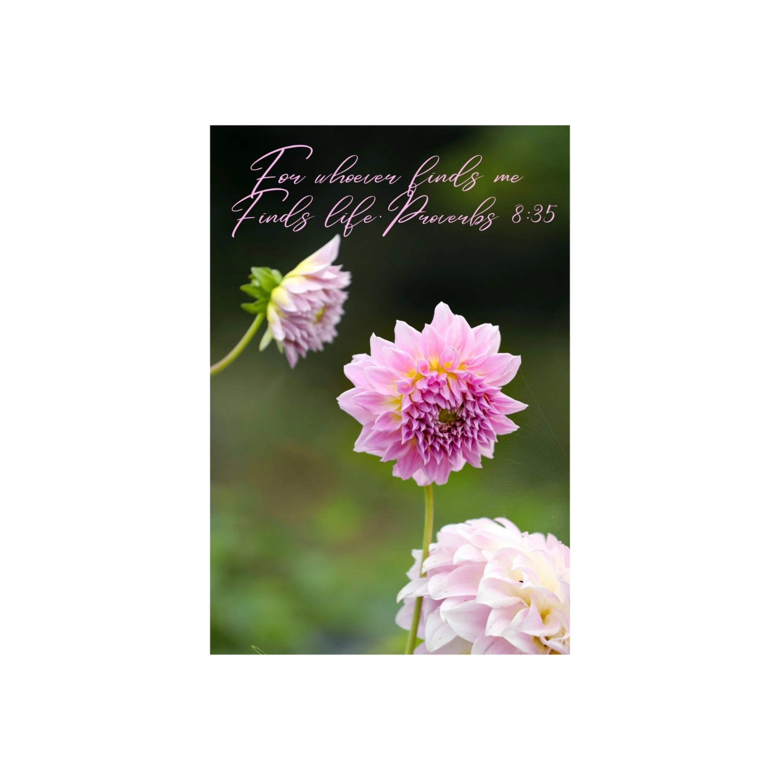 Proverbs 8:35 Find Life Matted Print