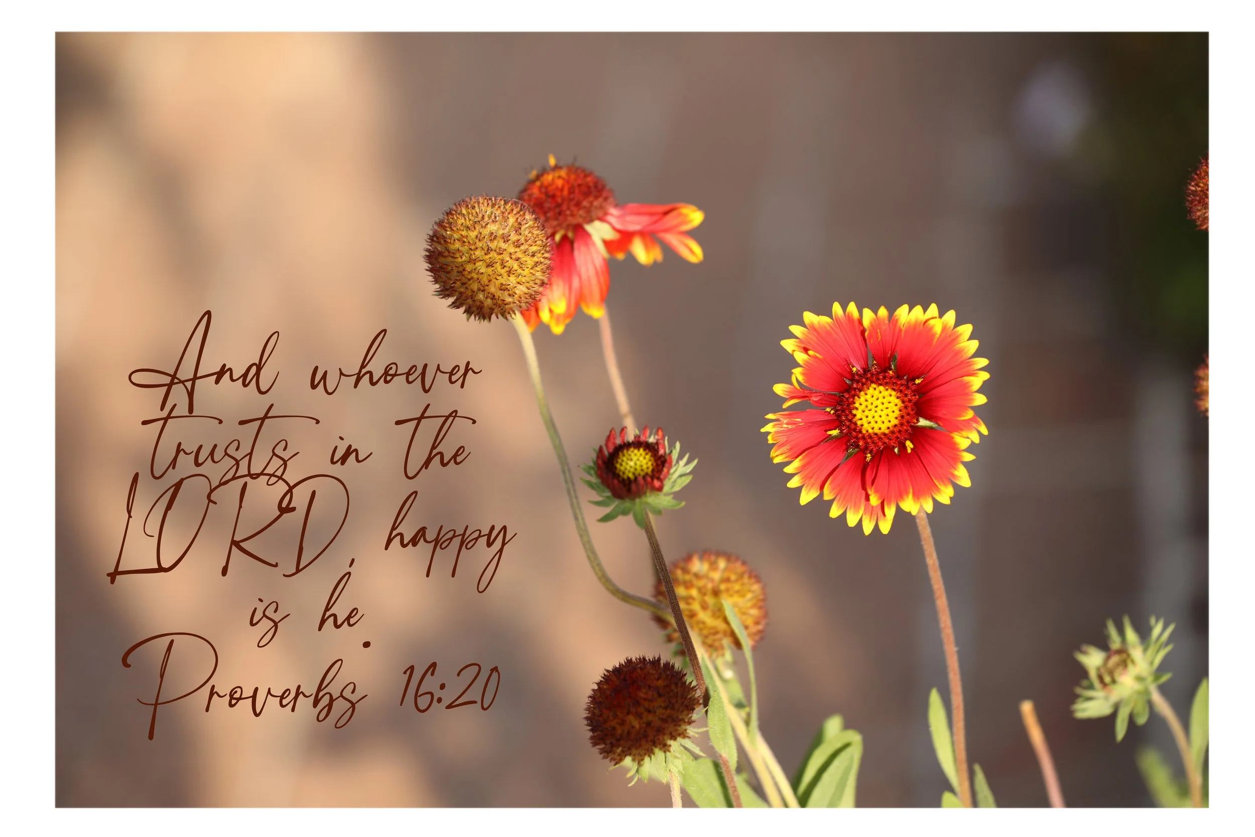 Proverbs 16:20 Happy Is He Framed Print