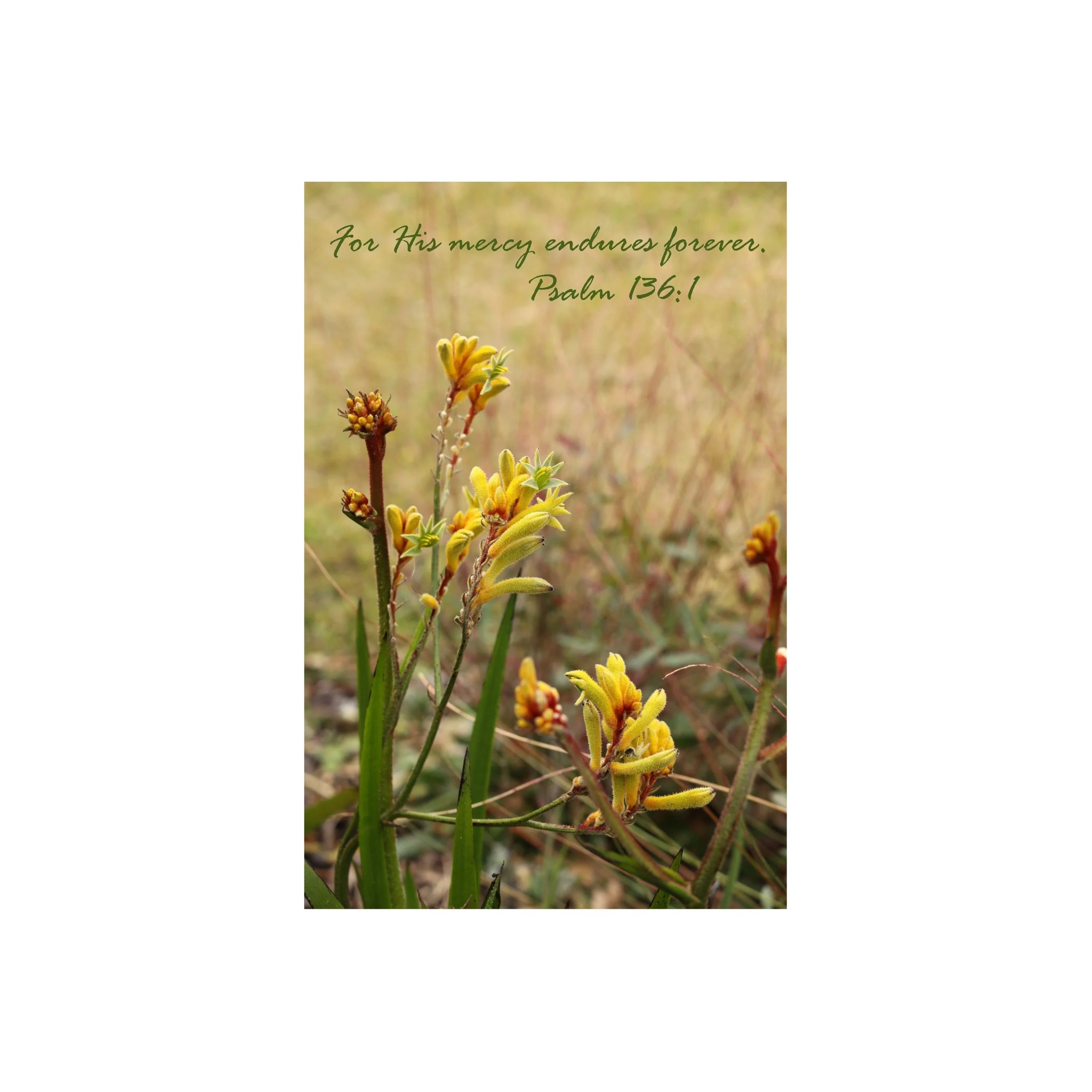 Psalm 136:1 His Mercy Matted Print