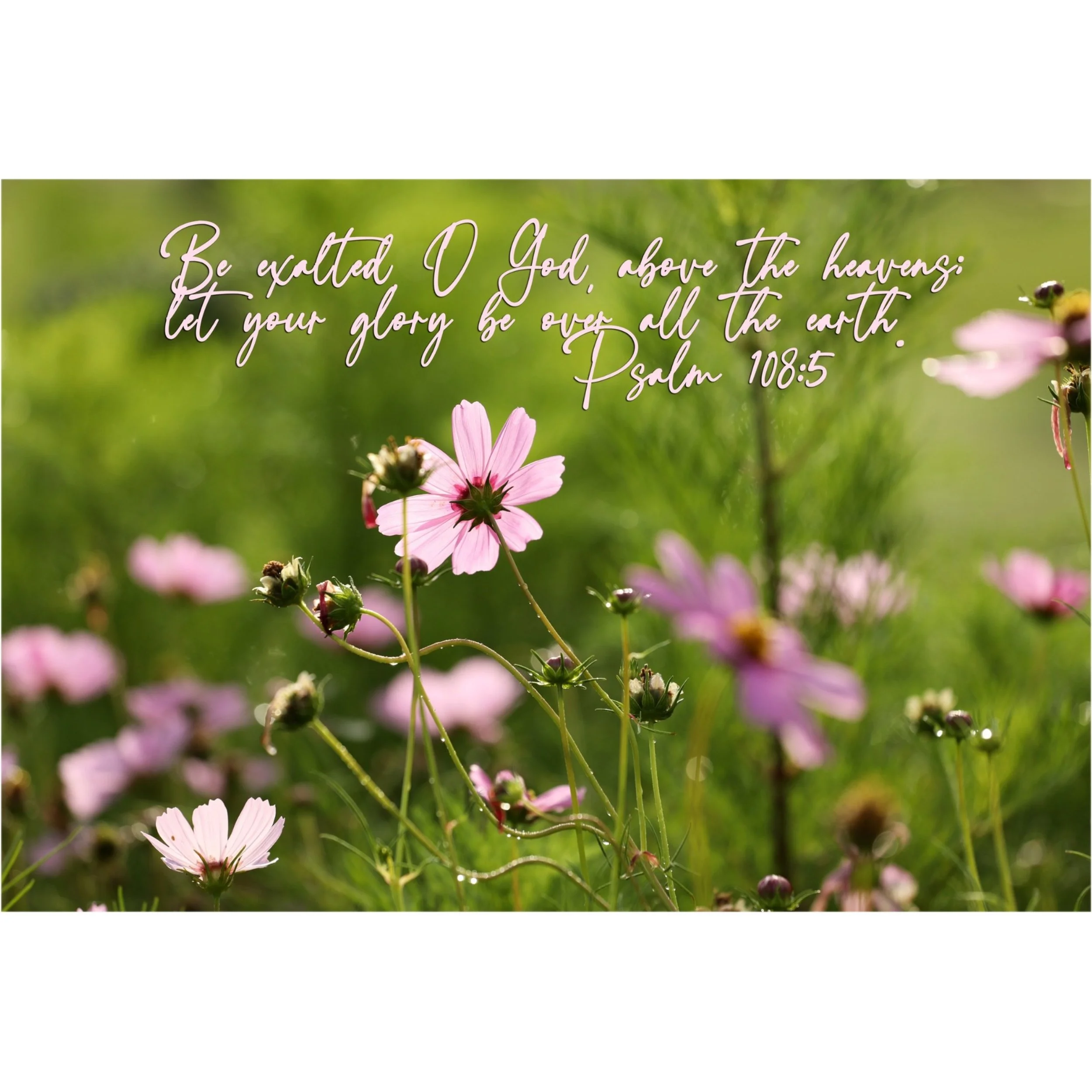 Psalm 108:5 Let Your Glory Be Over All The Earth Matted Print