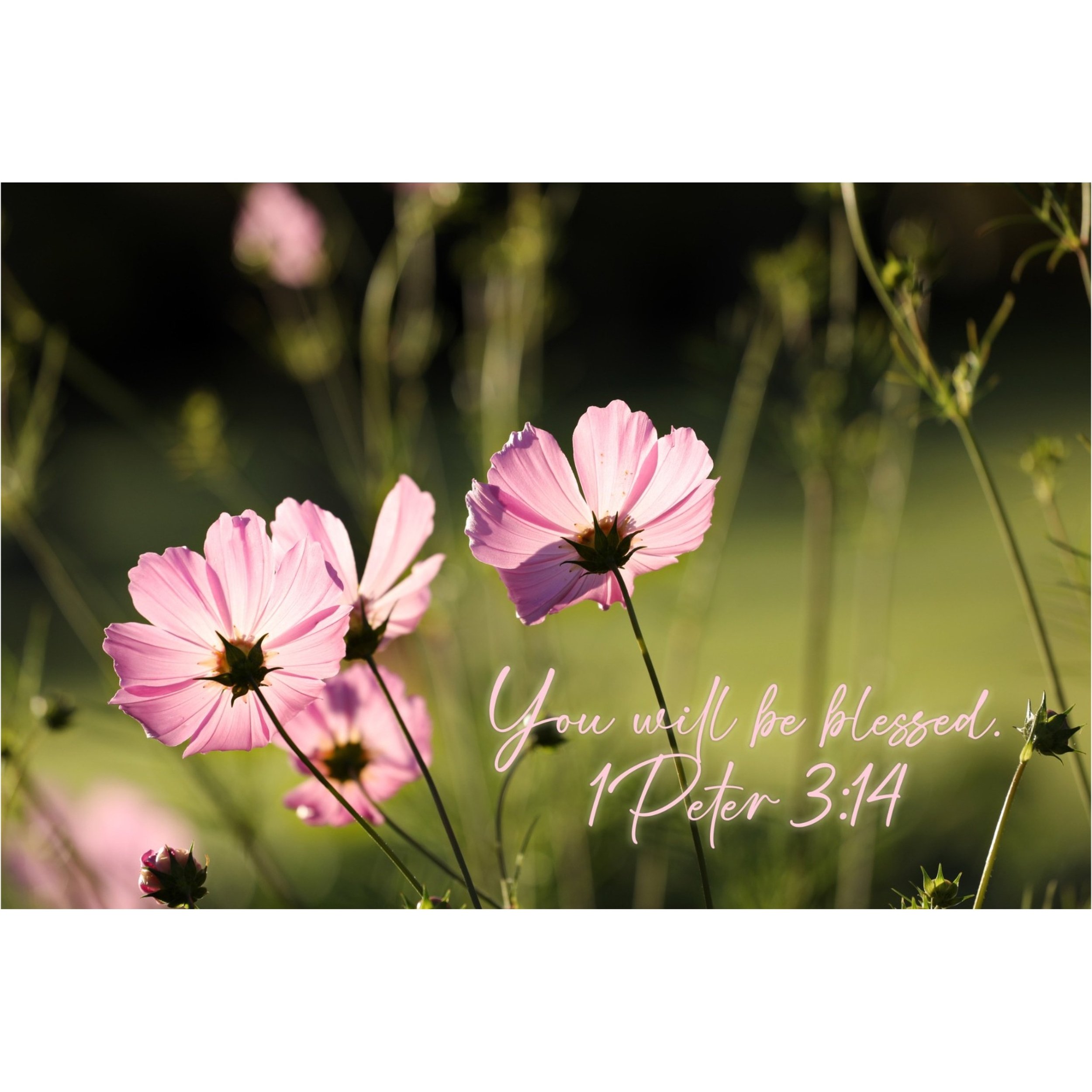 1 Peter 3:14 You Will Be Blessed Matted Print