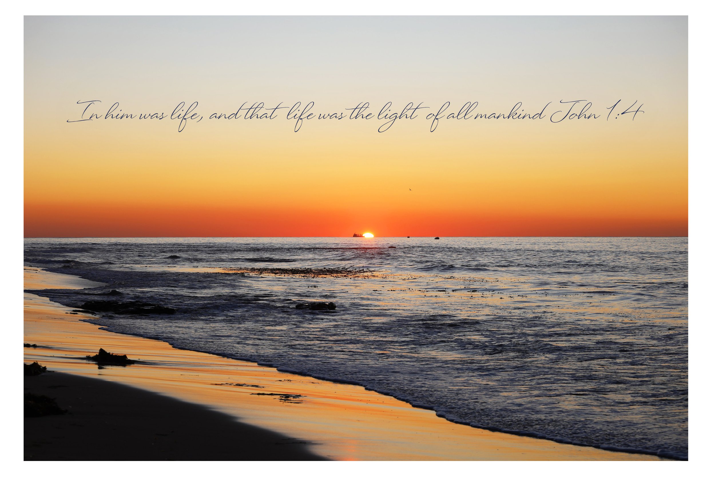 John 1:4 Light Of Mankind Matted Print